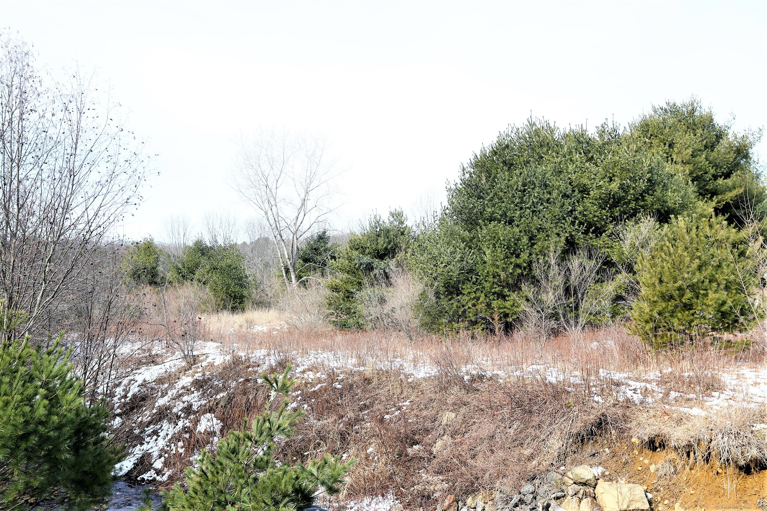 Turnpike Road Property Photo 7