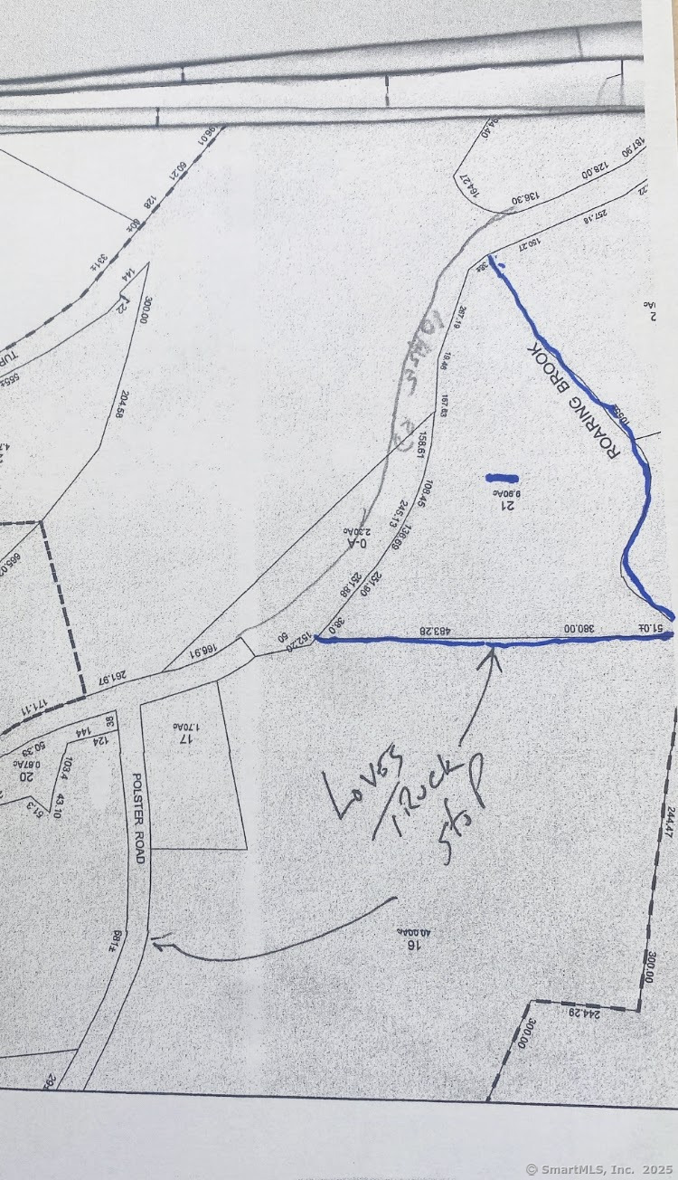 Lohse Map 42 Block 21 Road