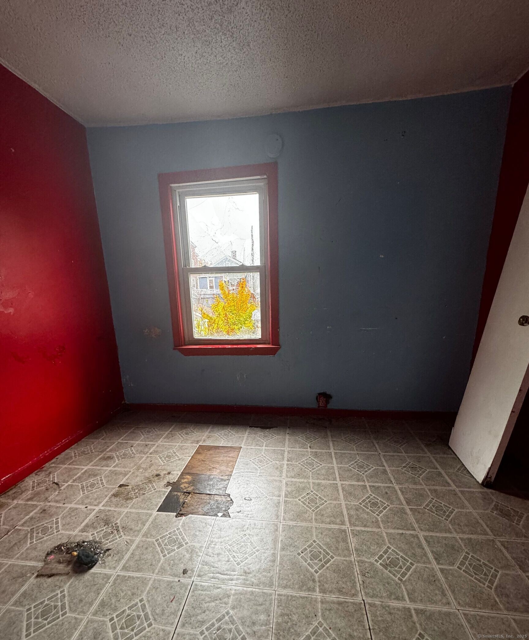 43 Elliott Street Property Photo 4