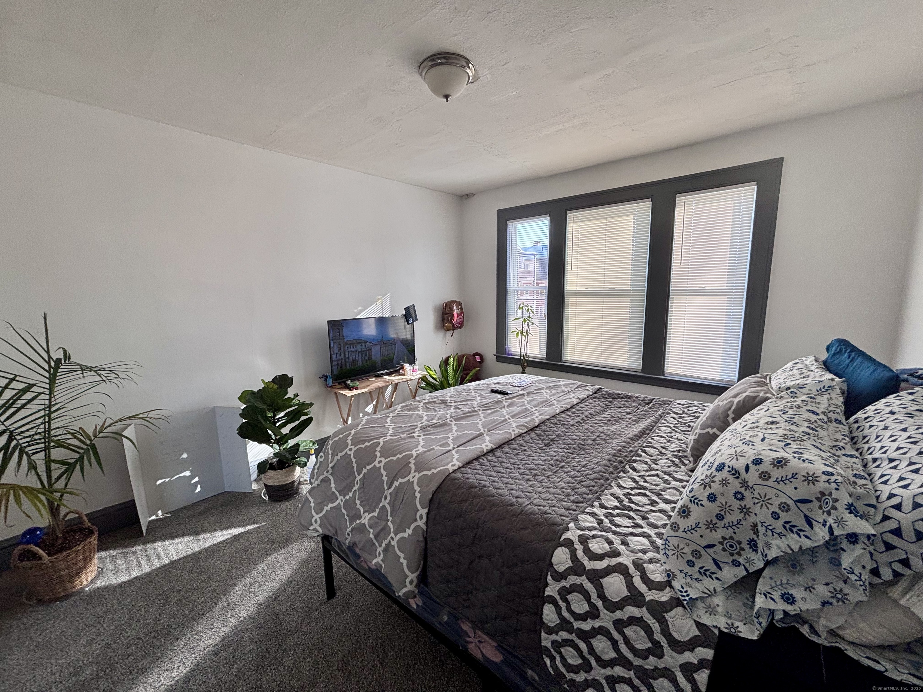 228 Mather Street Property Photo 8