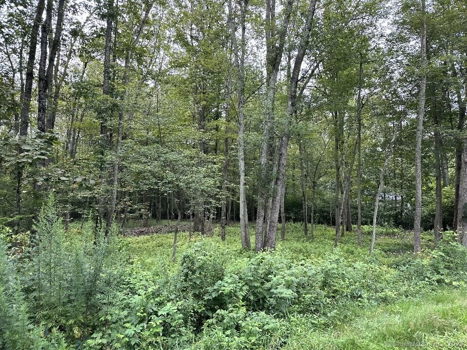 834 Hampton Road Property Photo 2