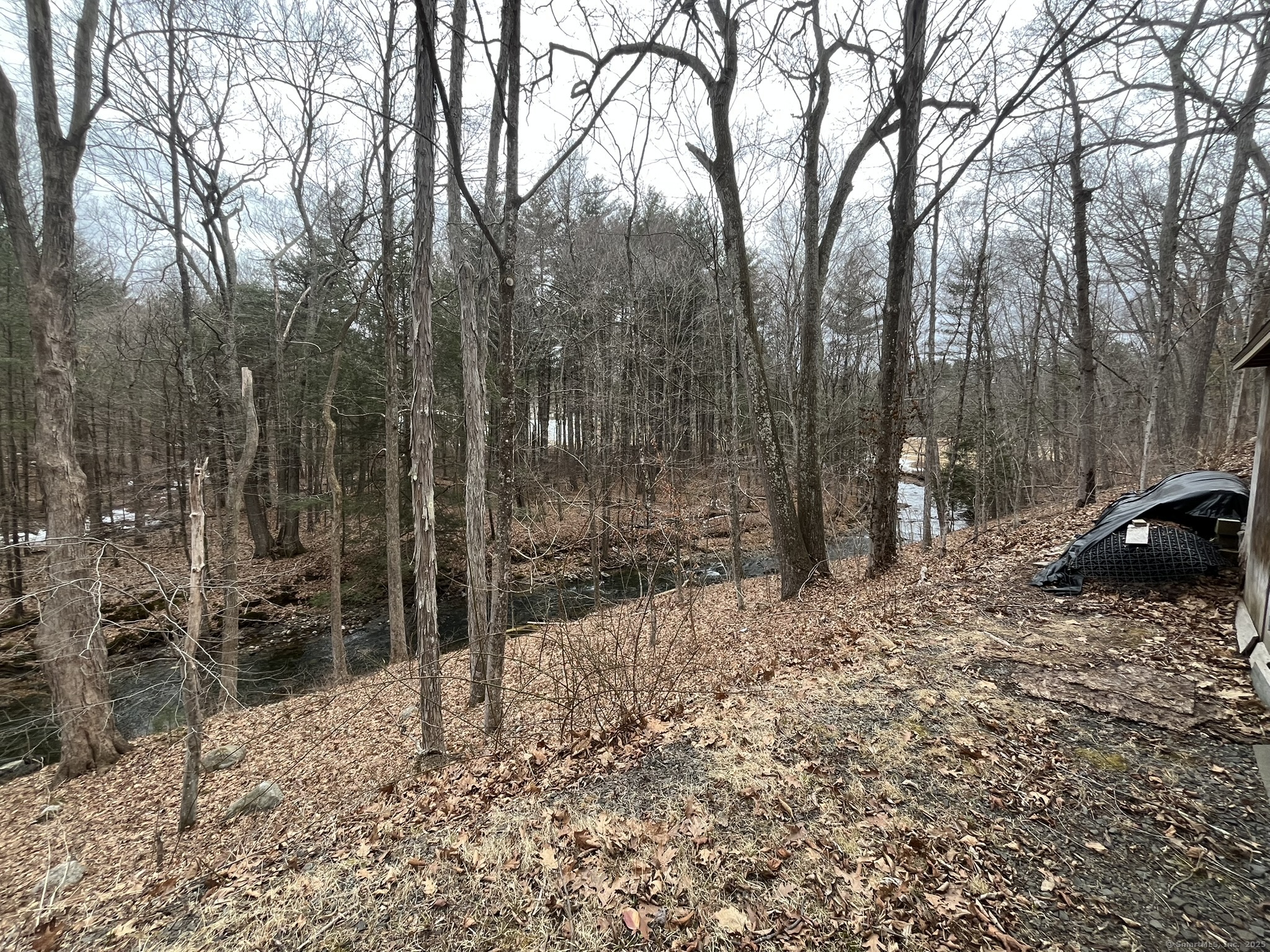 439 Washington Road Property Photo 27