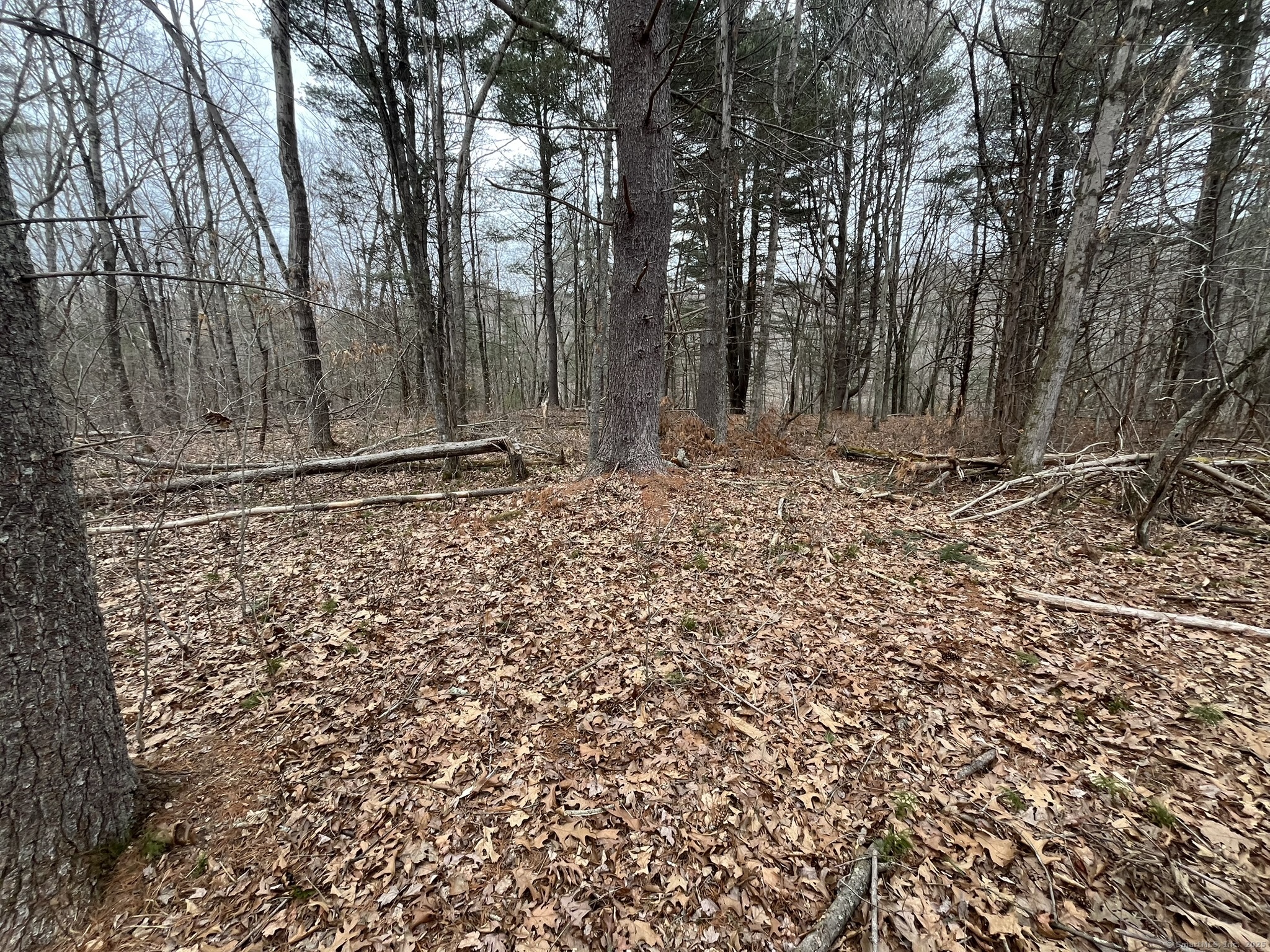 439 Washington Road Property Photo 31