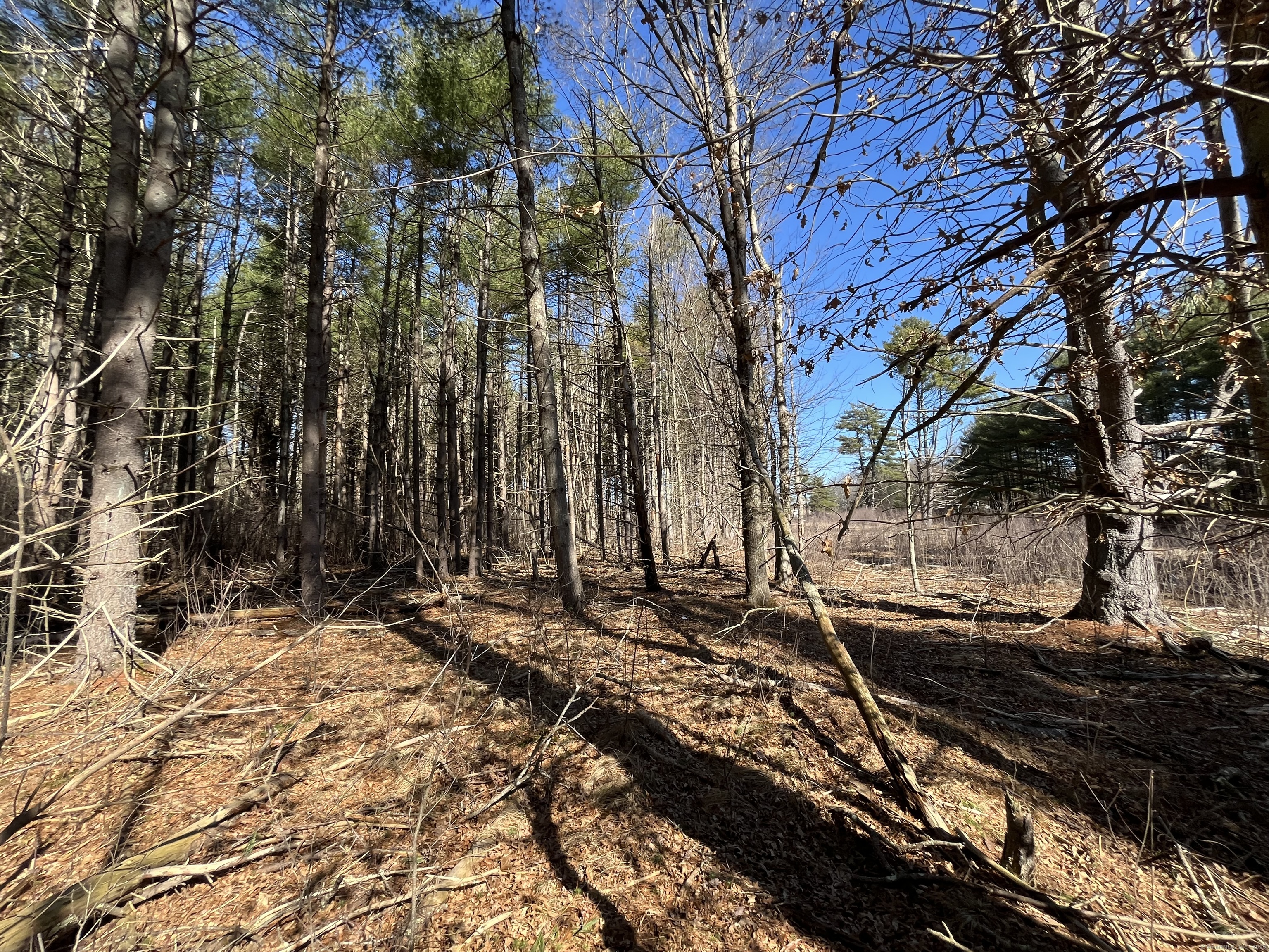 Providence Road Property Photo 25