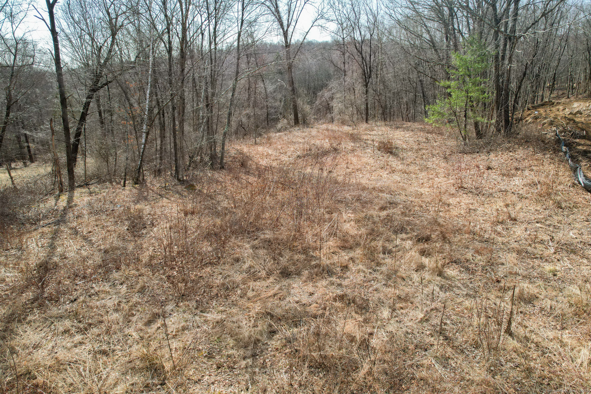 Lot 20 Bassett Road Property Photo 8