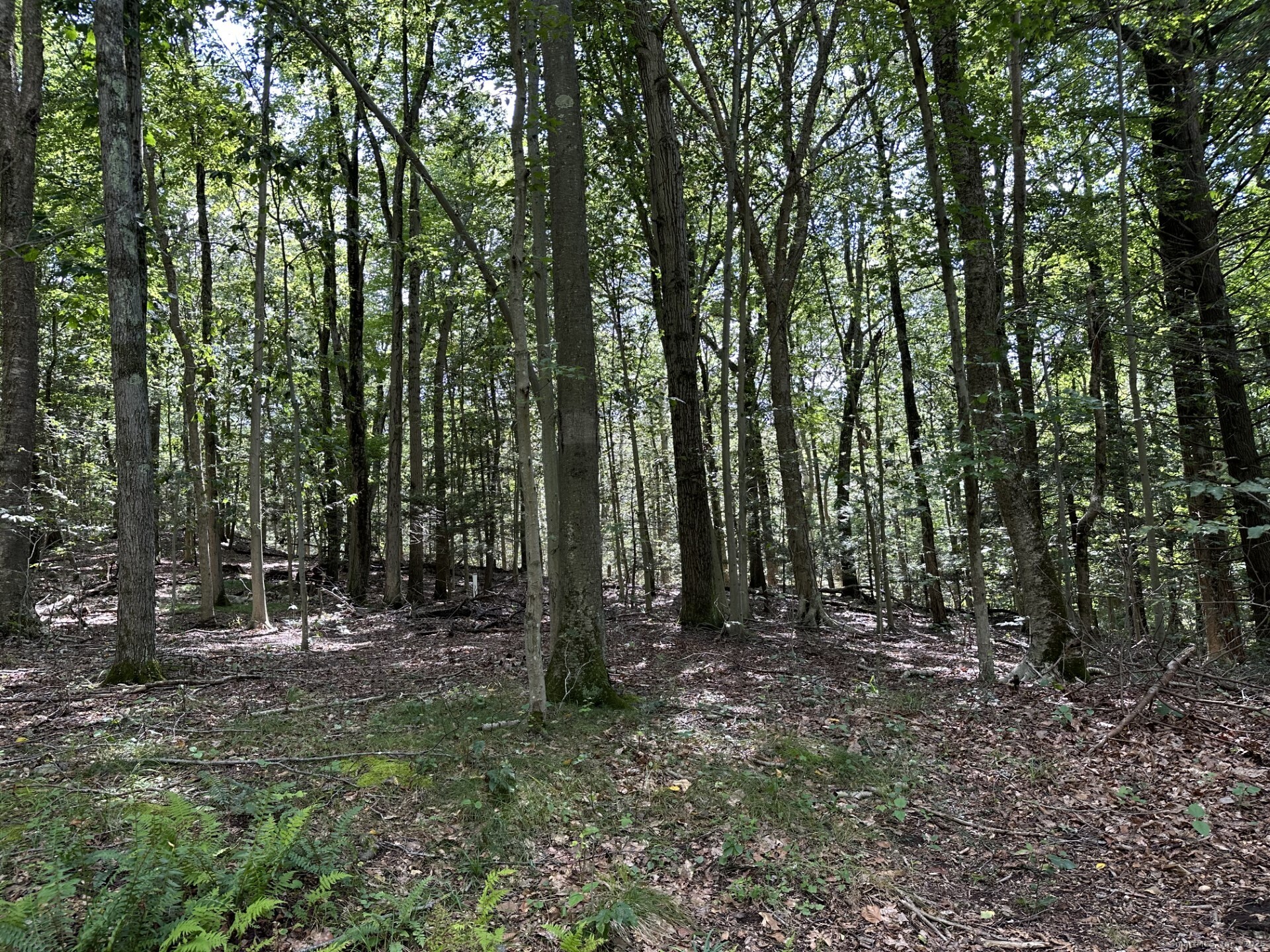 Lot #21 Brook South Drive Property Photo 9