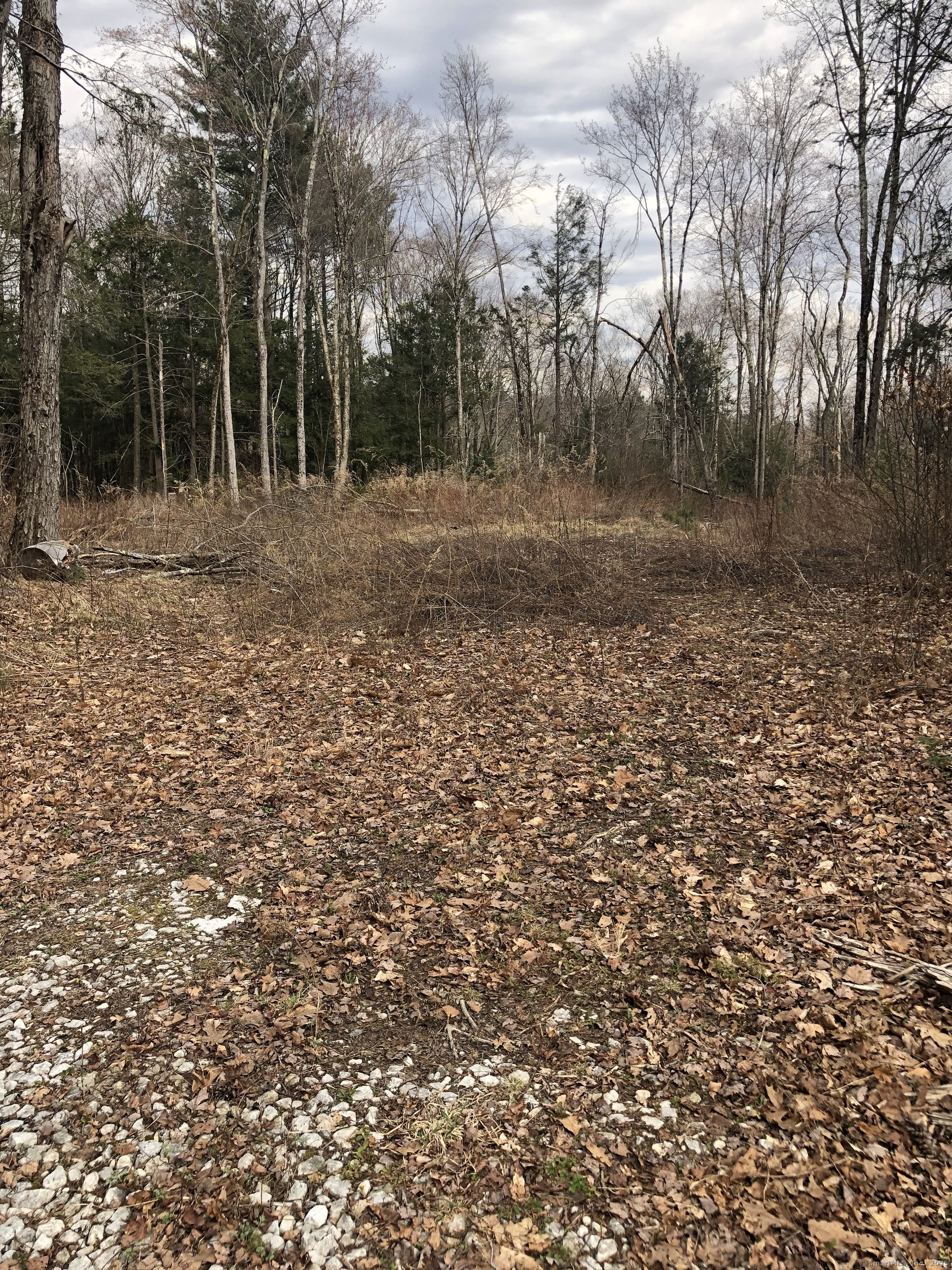 Winsted - Norfolk Road Property Photo 3