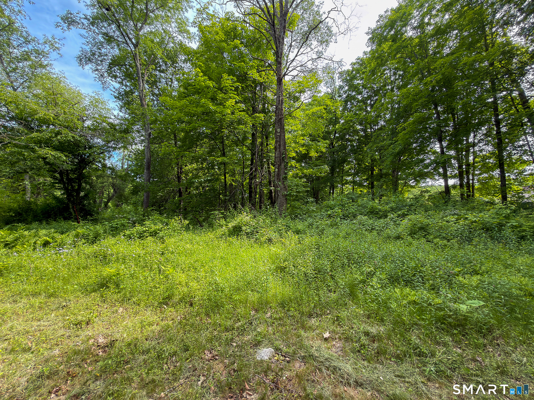 44 Keeler Road Property Photo 13