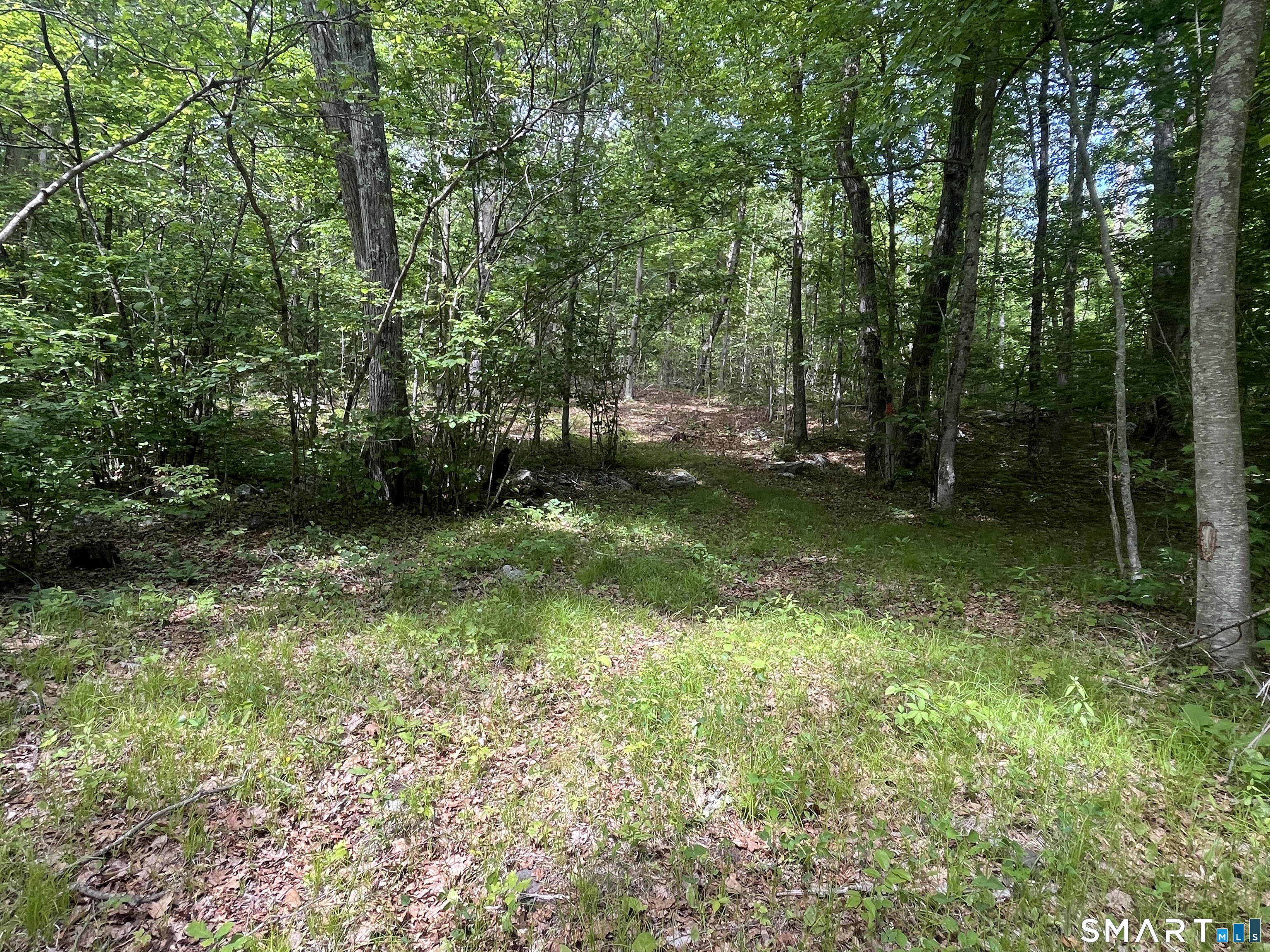 44 Keeler Road Property Photo 15