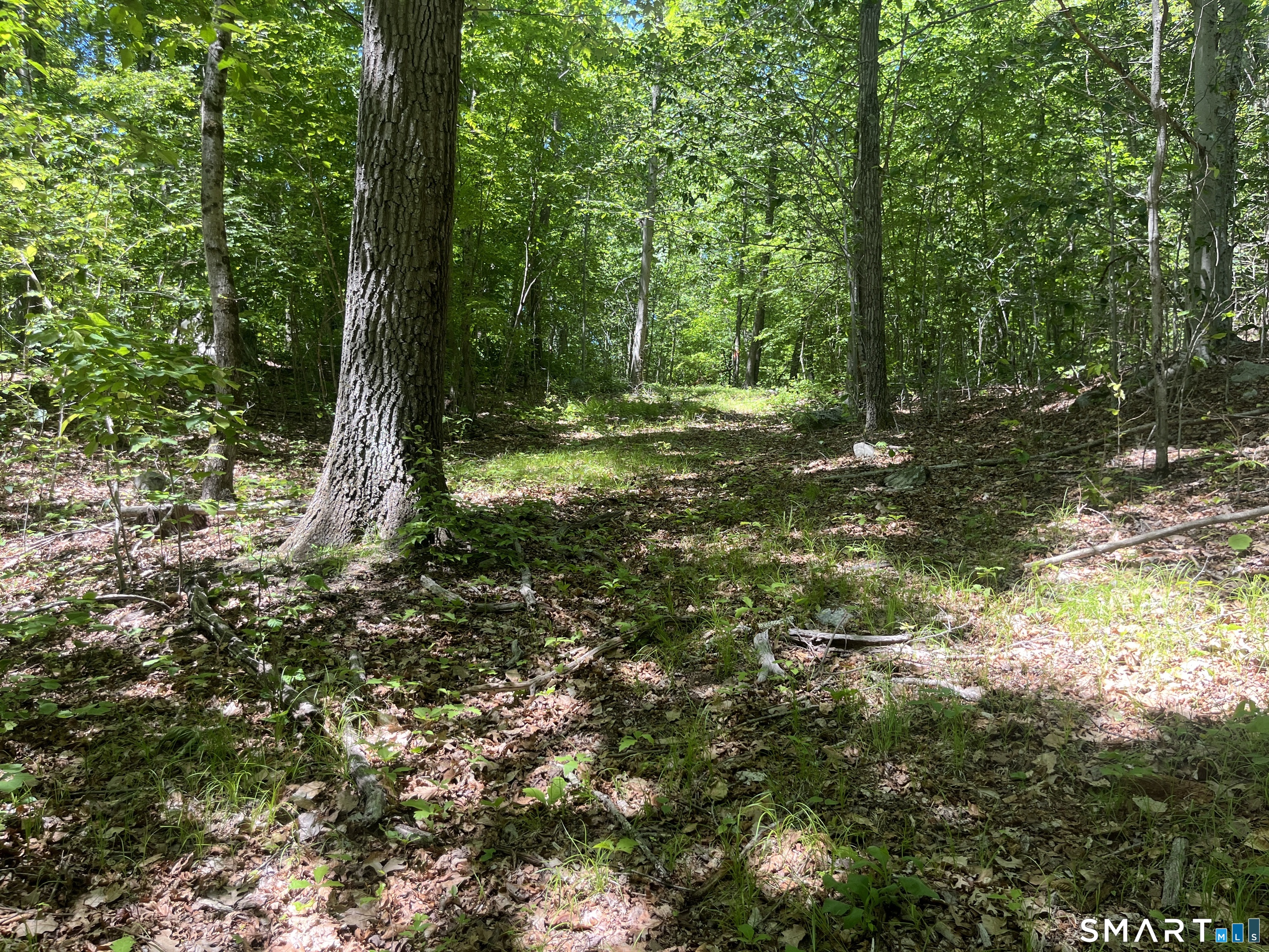 44 Keeler Road Property Photo 16