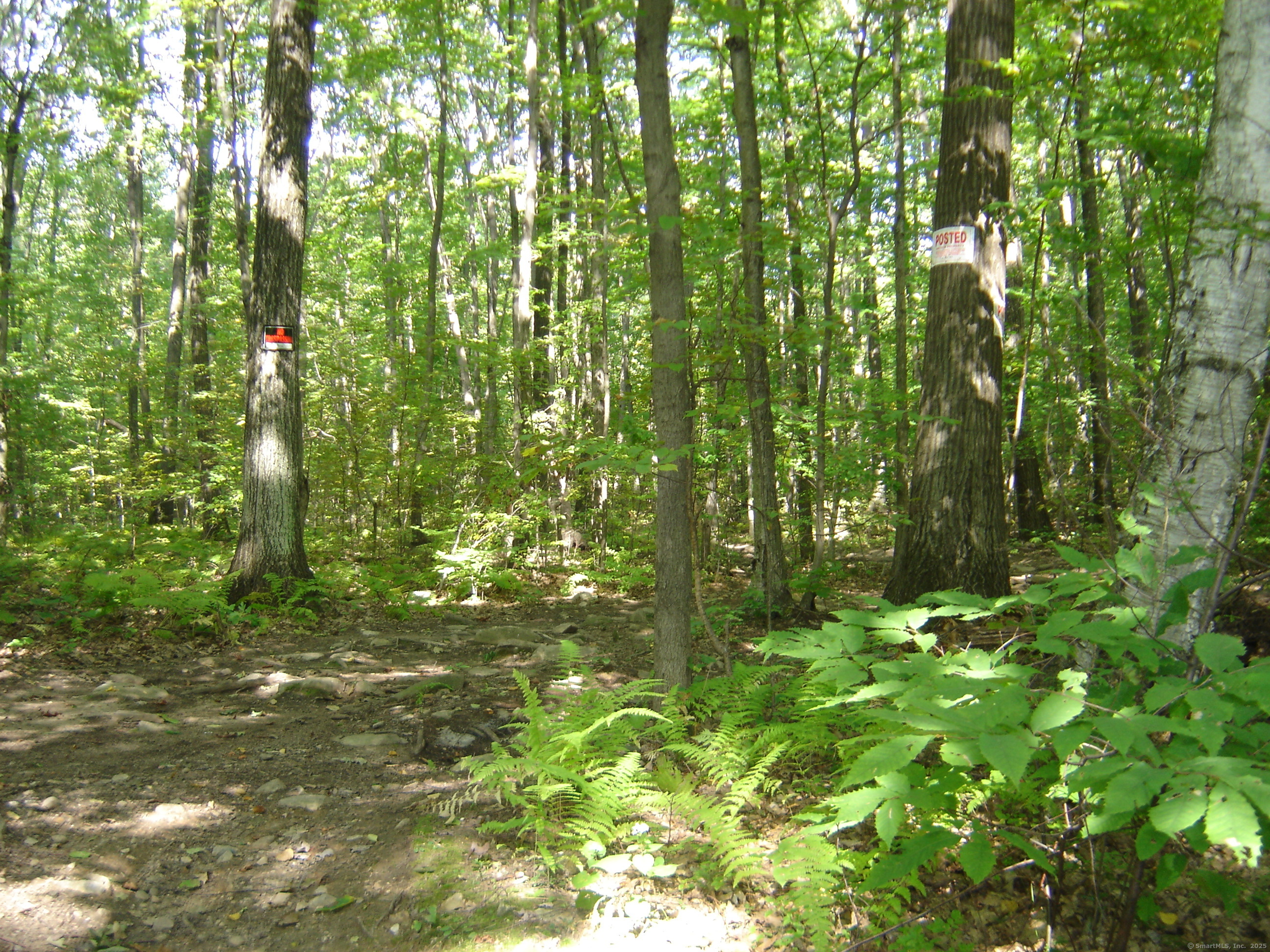 0 Porter Road Property Photo 13