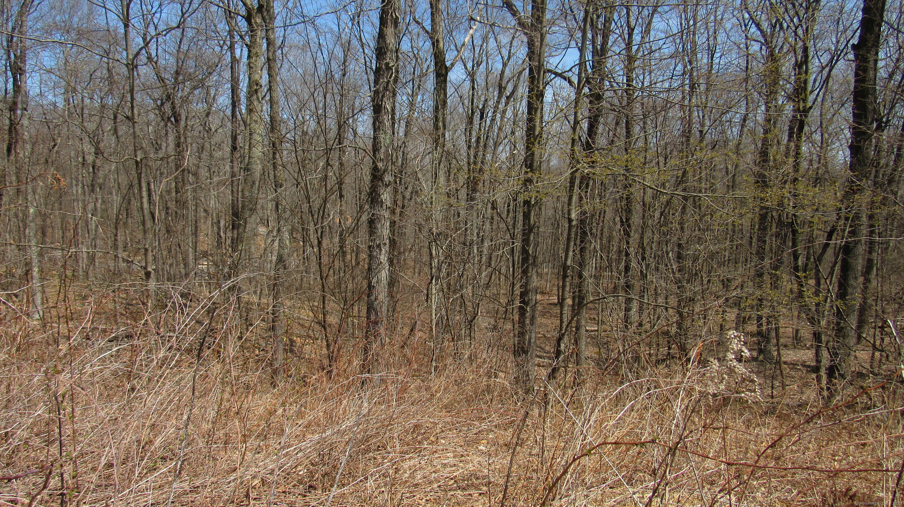0 Stonewall 39 Lane Property Photo 7
