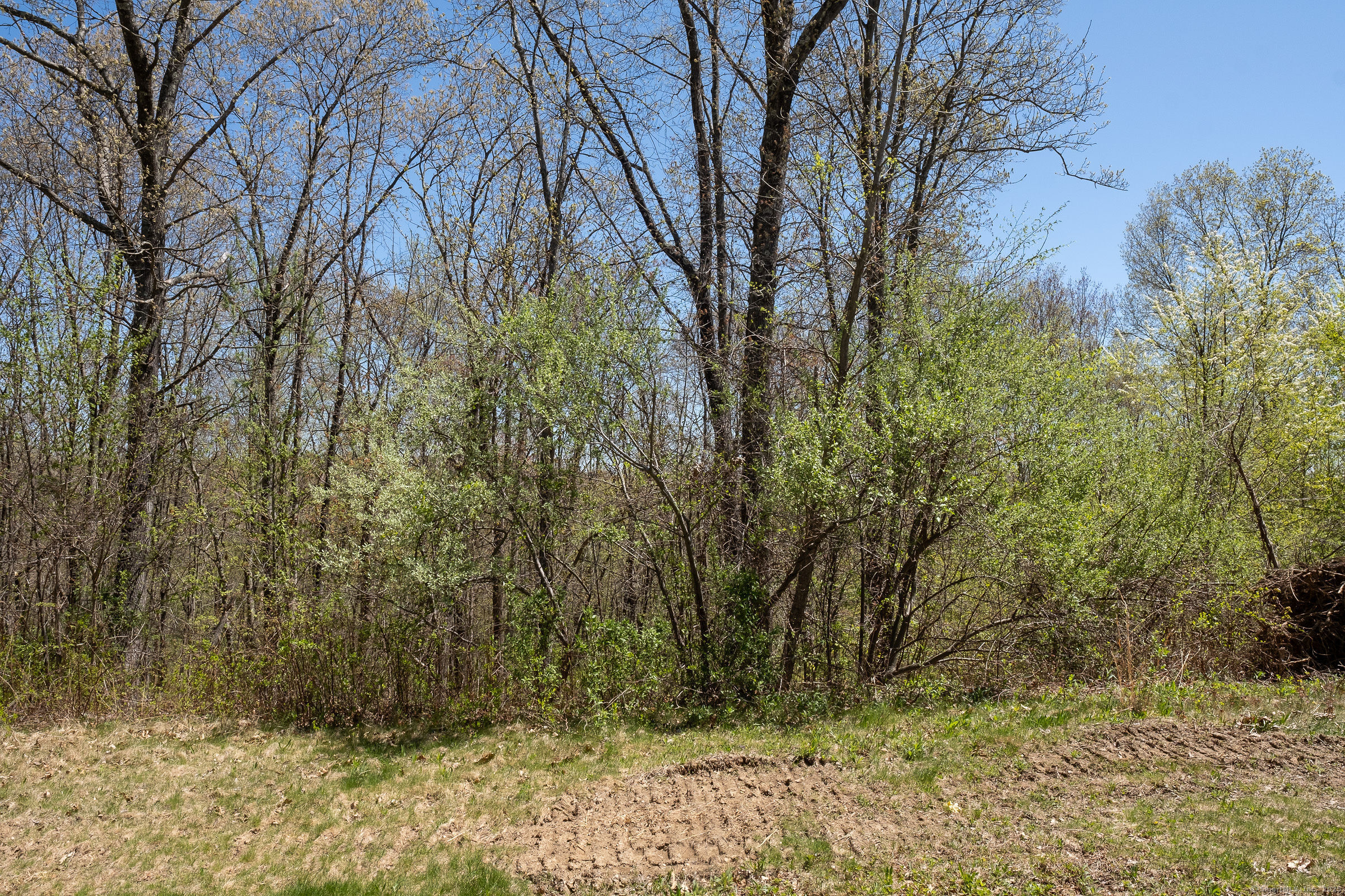 37 Wolf Hill Lot (#40) Road Property Photo 1