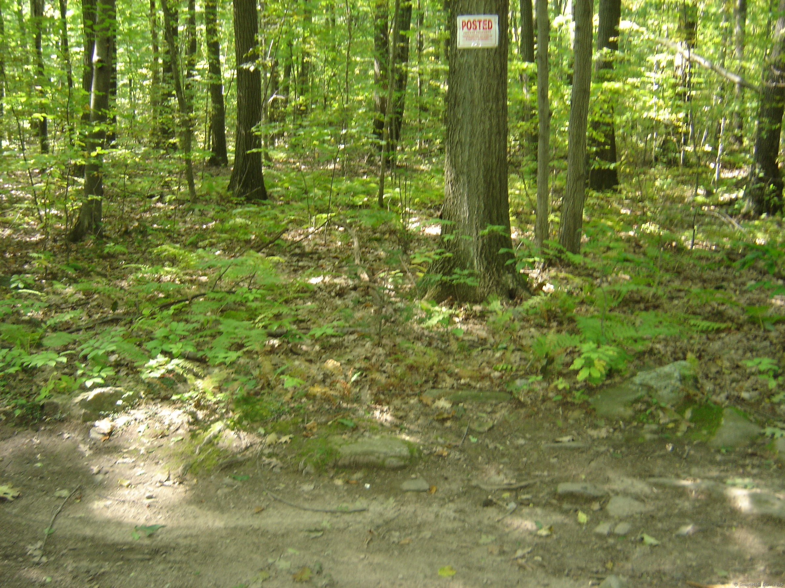 0 Porter Road Property Photo 4