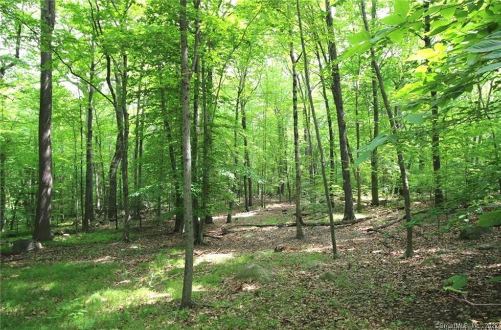 0 Mountain Road Property Photo 2
