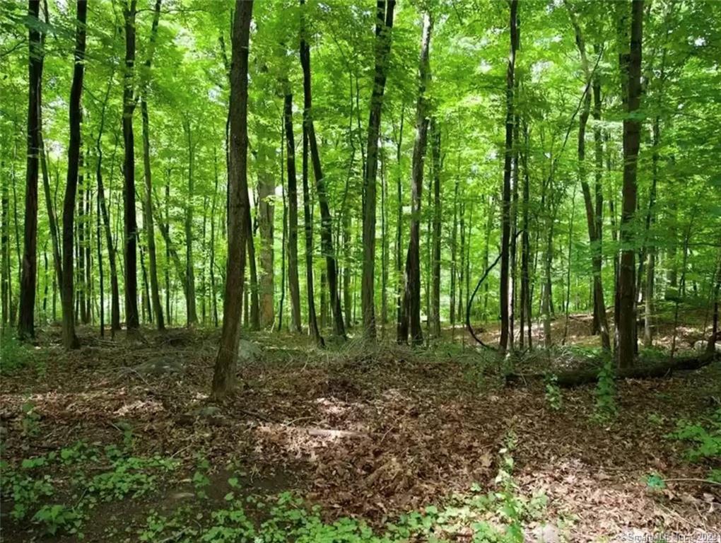 0 Mountain Road Property Photo 3