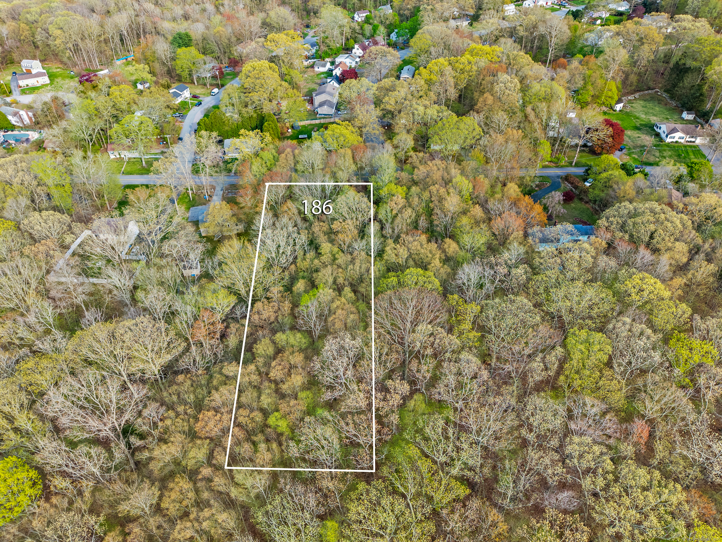 186 Canterbury Turnpike Property Photo 4