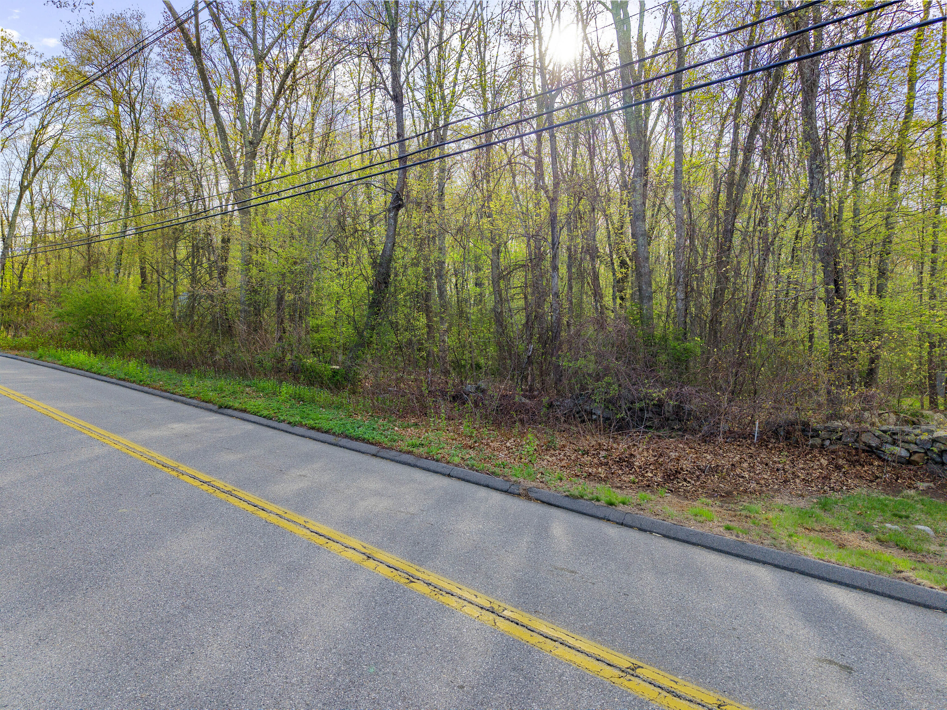 182 Canterbury Turnpike Property Photo 4