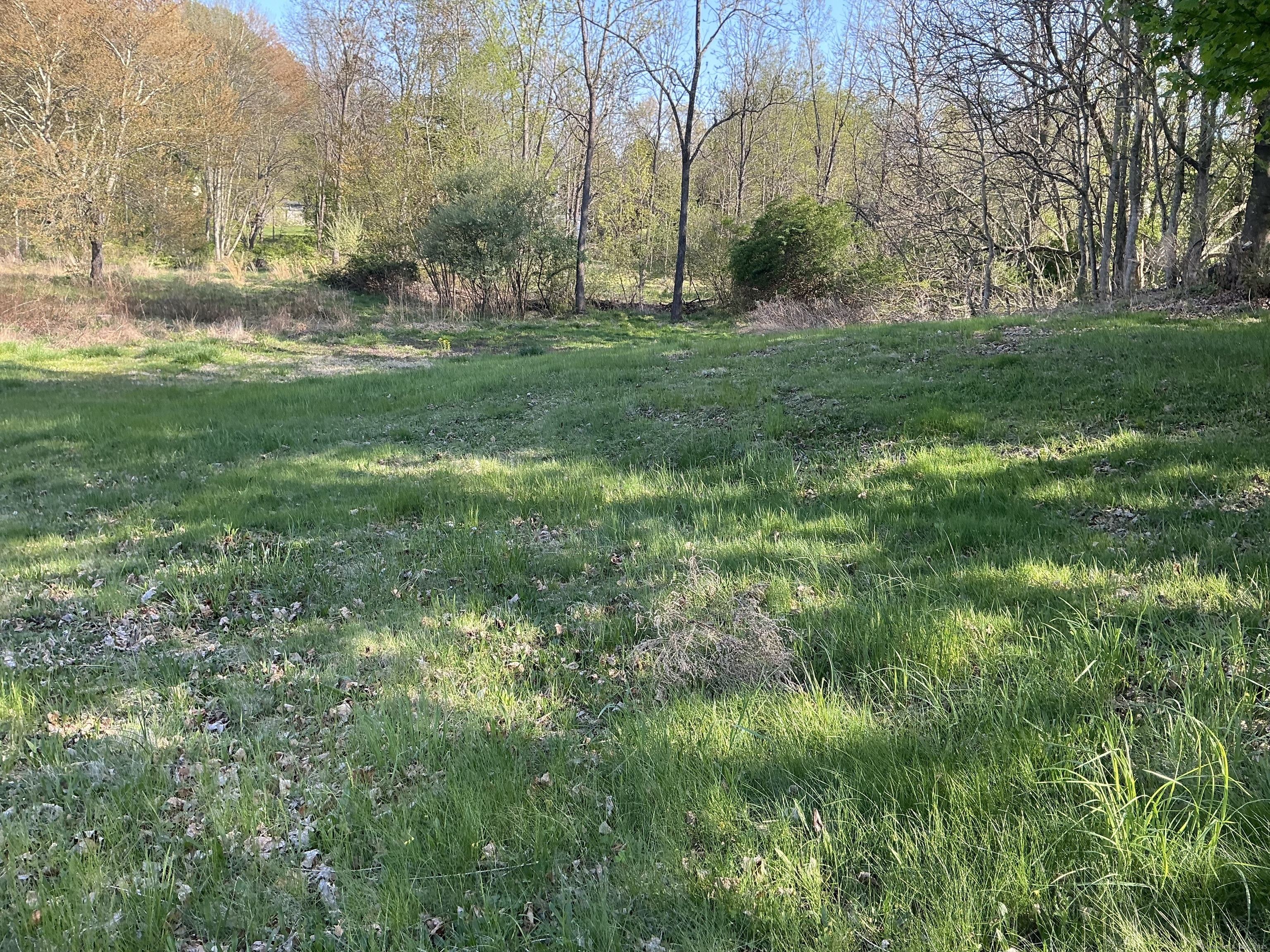 19 Laporte Drive Property Photo 1
