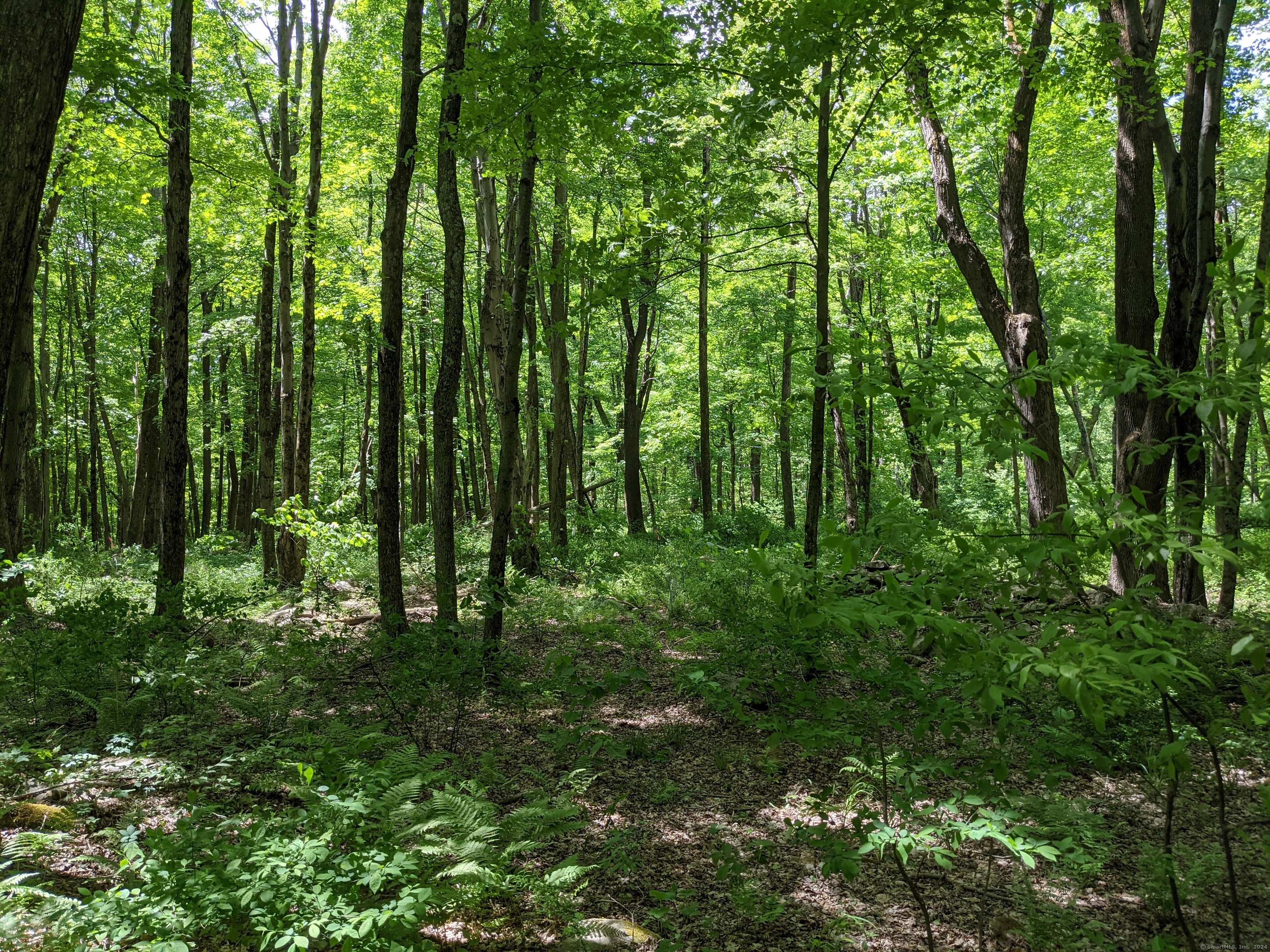 00 Old Homestead Lane Property Photo 1