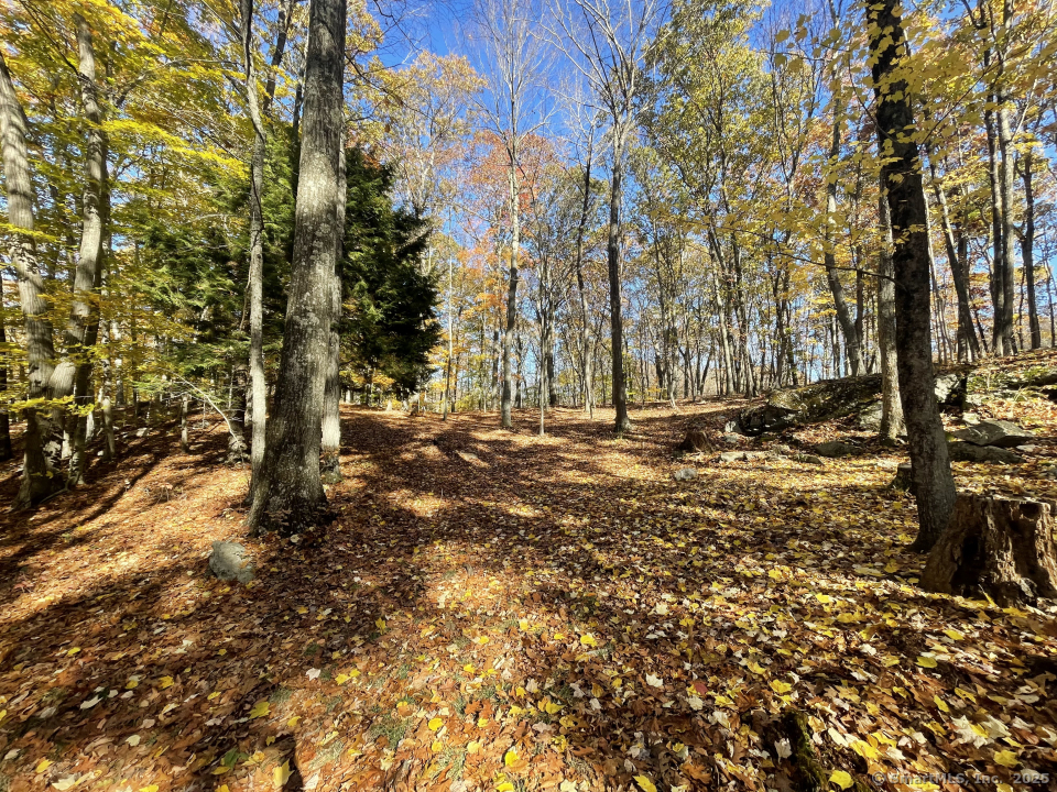 58 Botsford Hill Road Property Photo 35