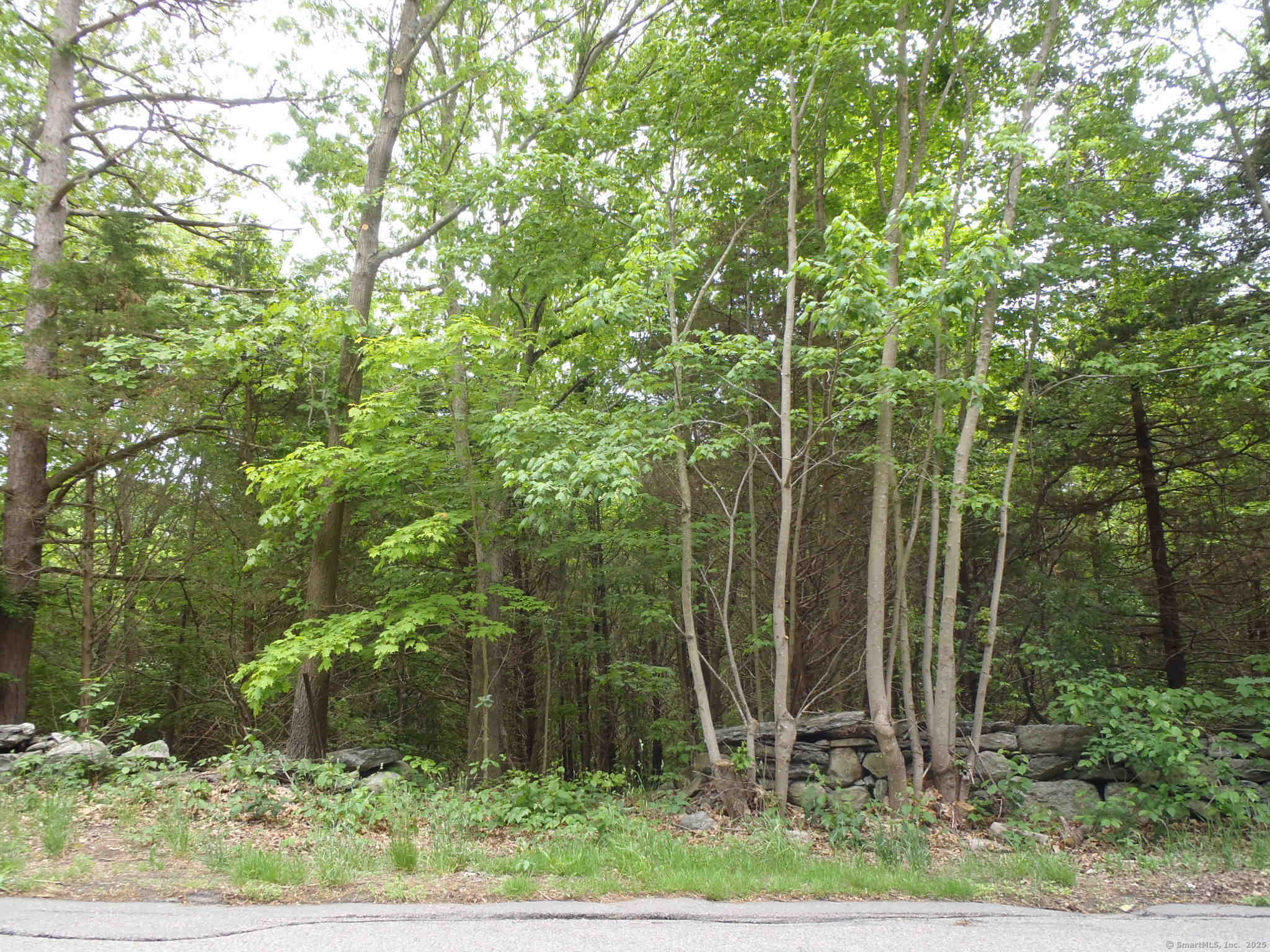 47 Huntington Avenue Property Photo 1