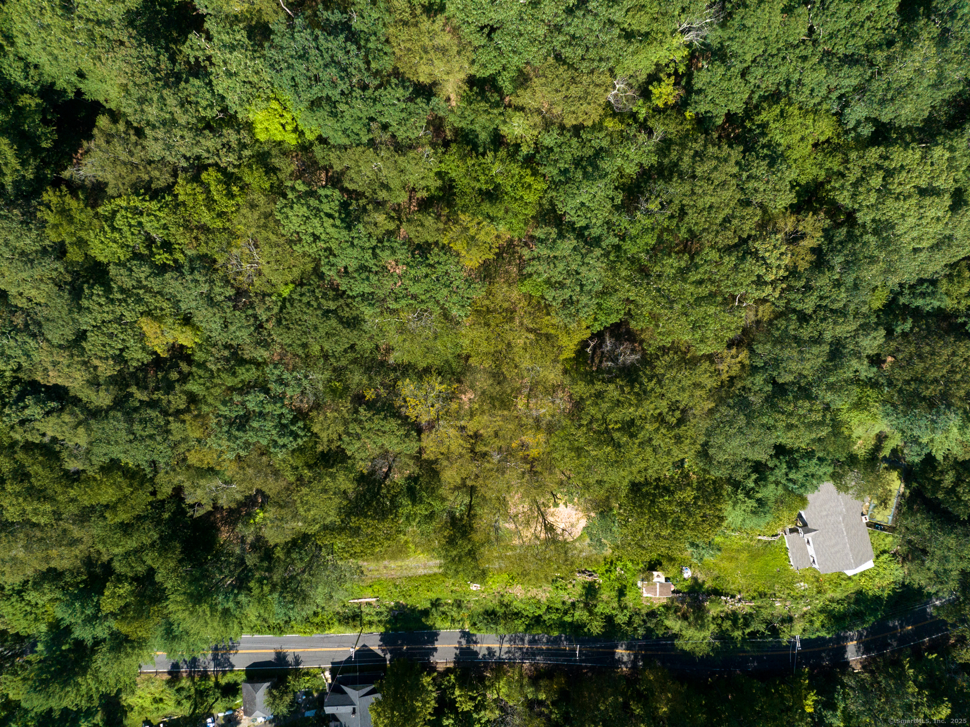 24 Calhoun Street Property Photo 4