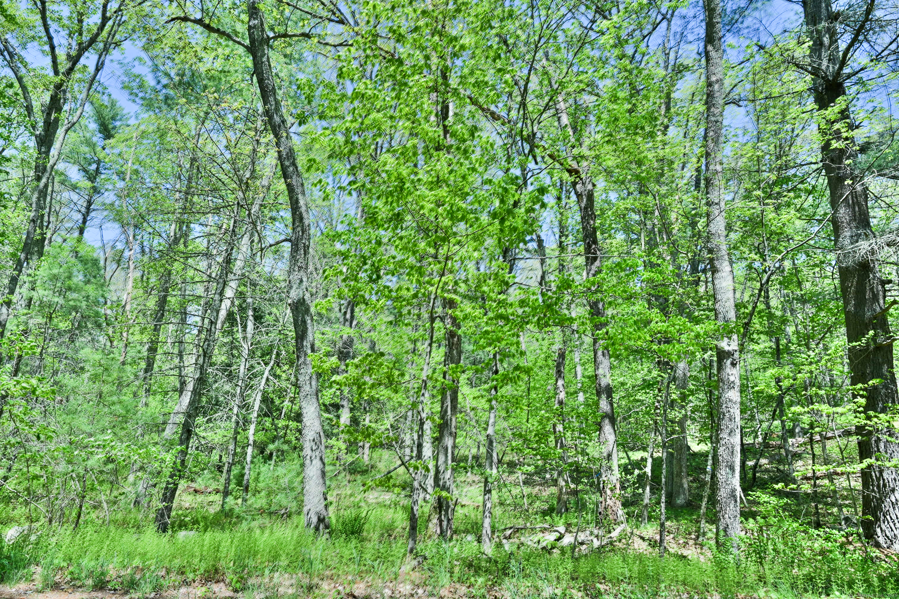 634 Parcel B 5 Mile River Road Property Photo 1