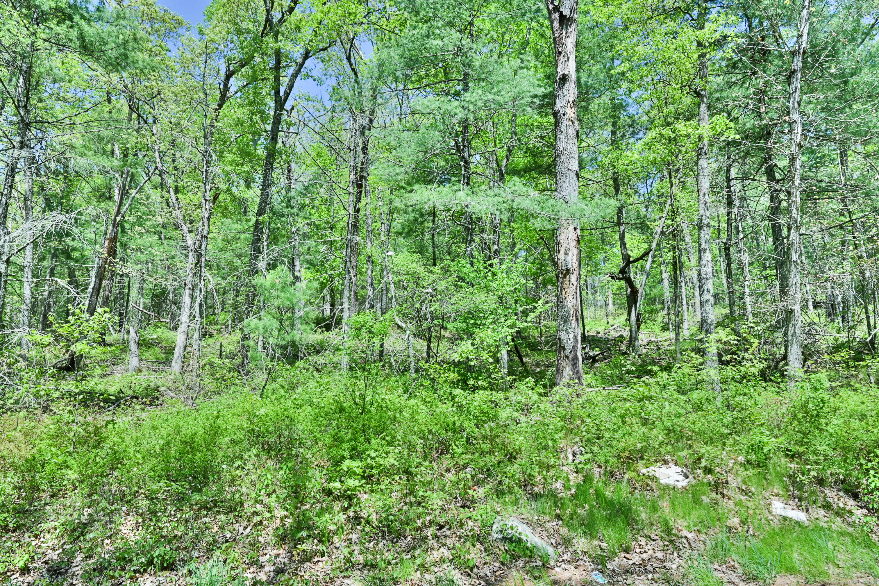 634 Parcel B 5 Mile River Road Property Photo 2