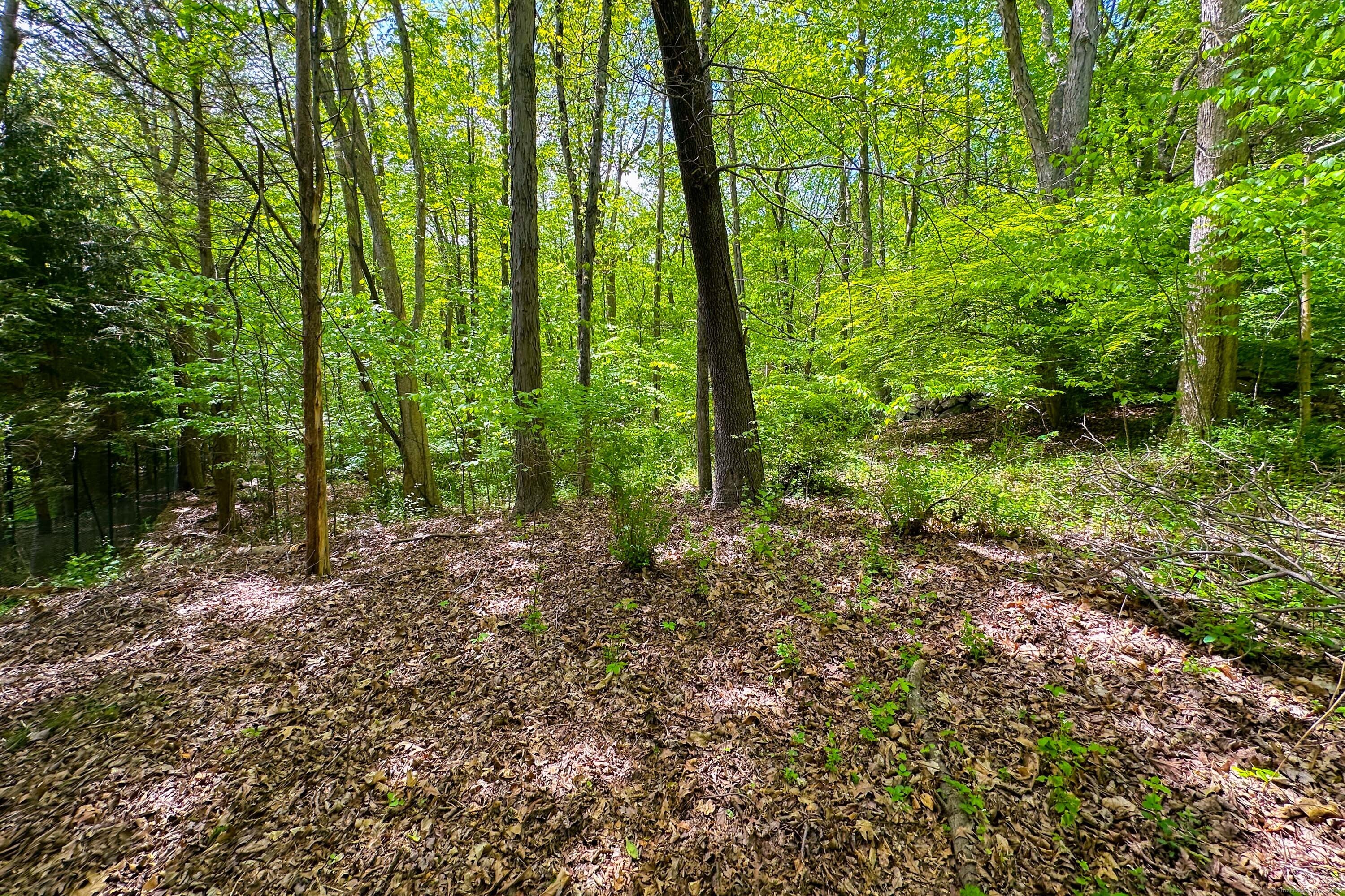 4 Quail Ridge Property Photo 3