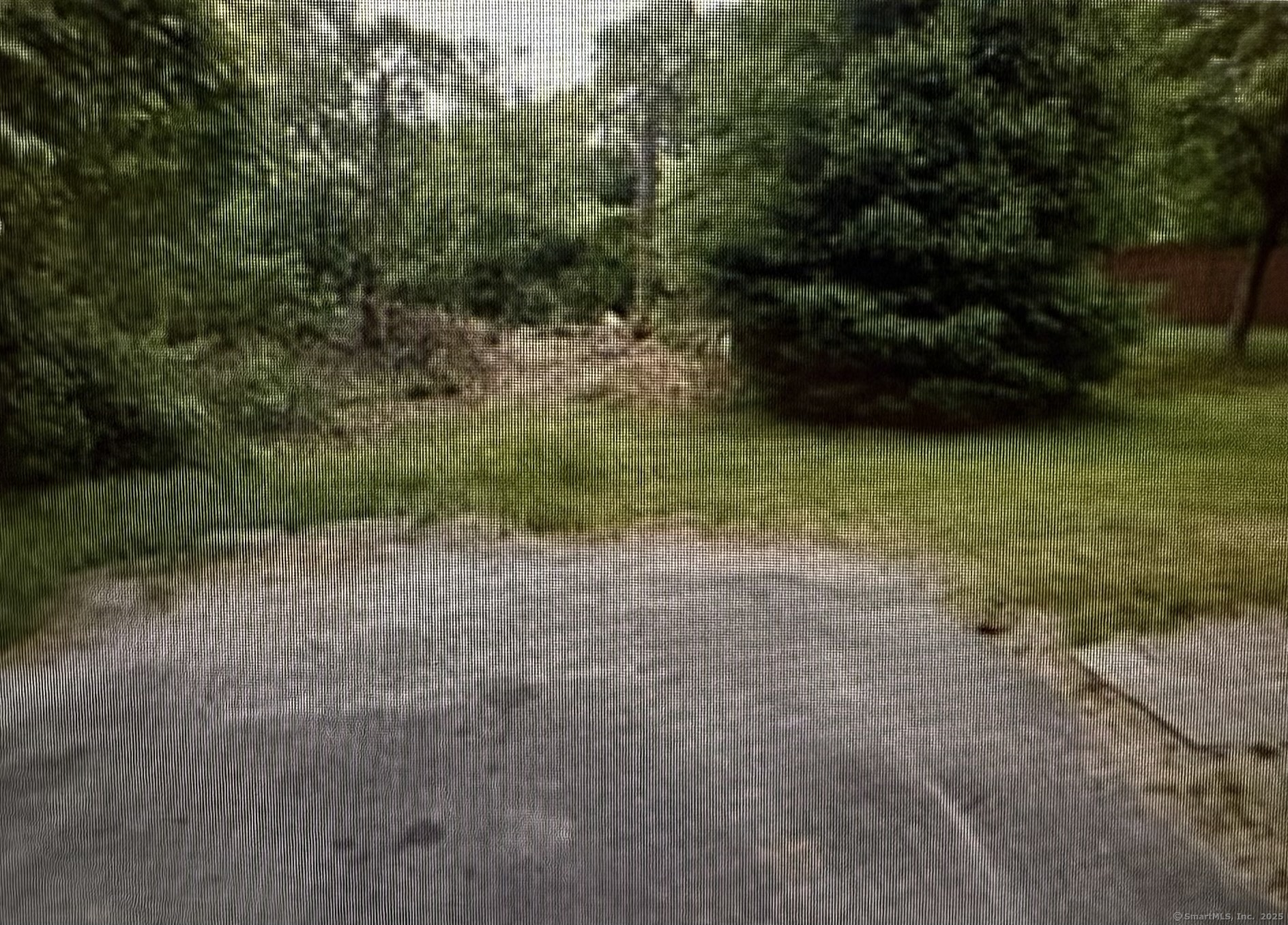 0 Ellen Street Property Photo 1