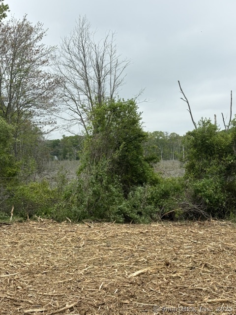 18 Fox Run Lane Property Photo 7
