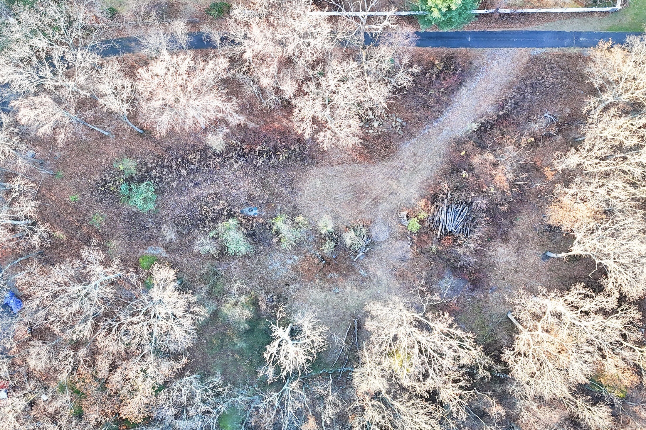 24 Burma Road Property Photo 5
