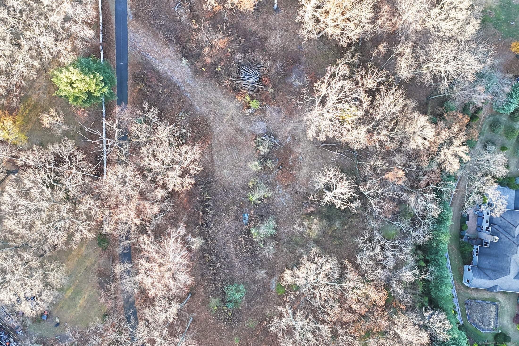 24 Burma Road Property Photo 6
