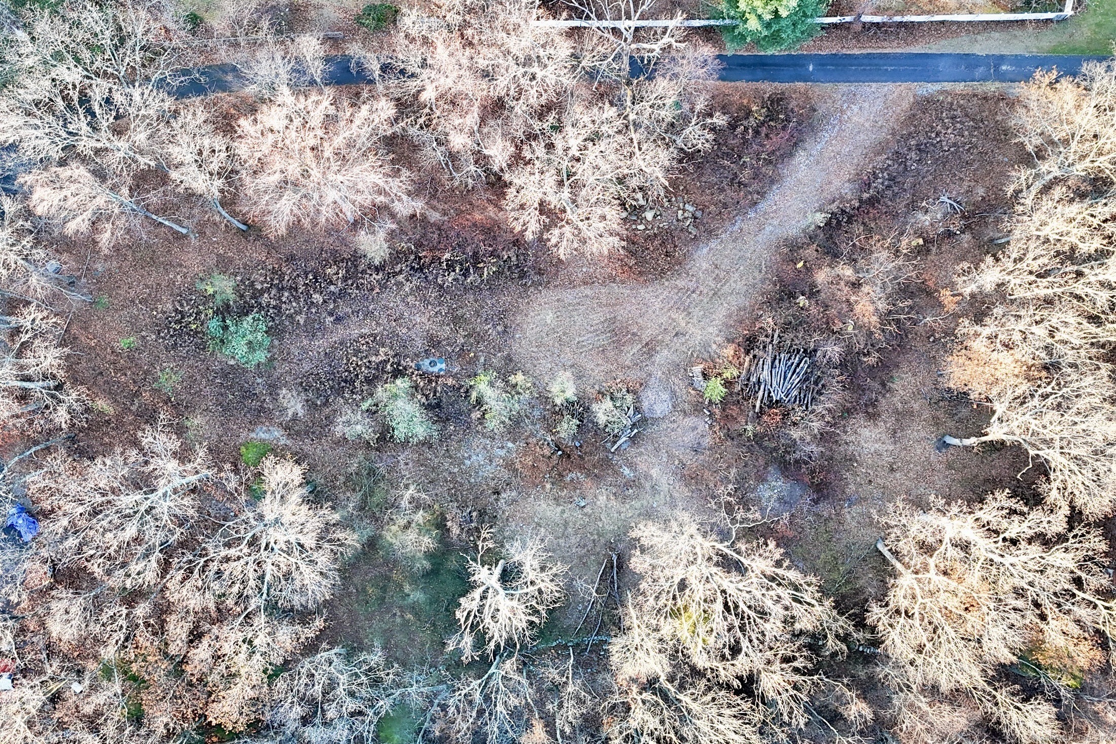 24 Burma Road Property Photo 7