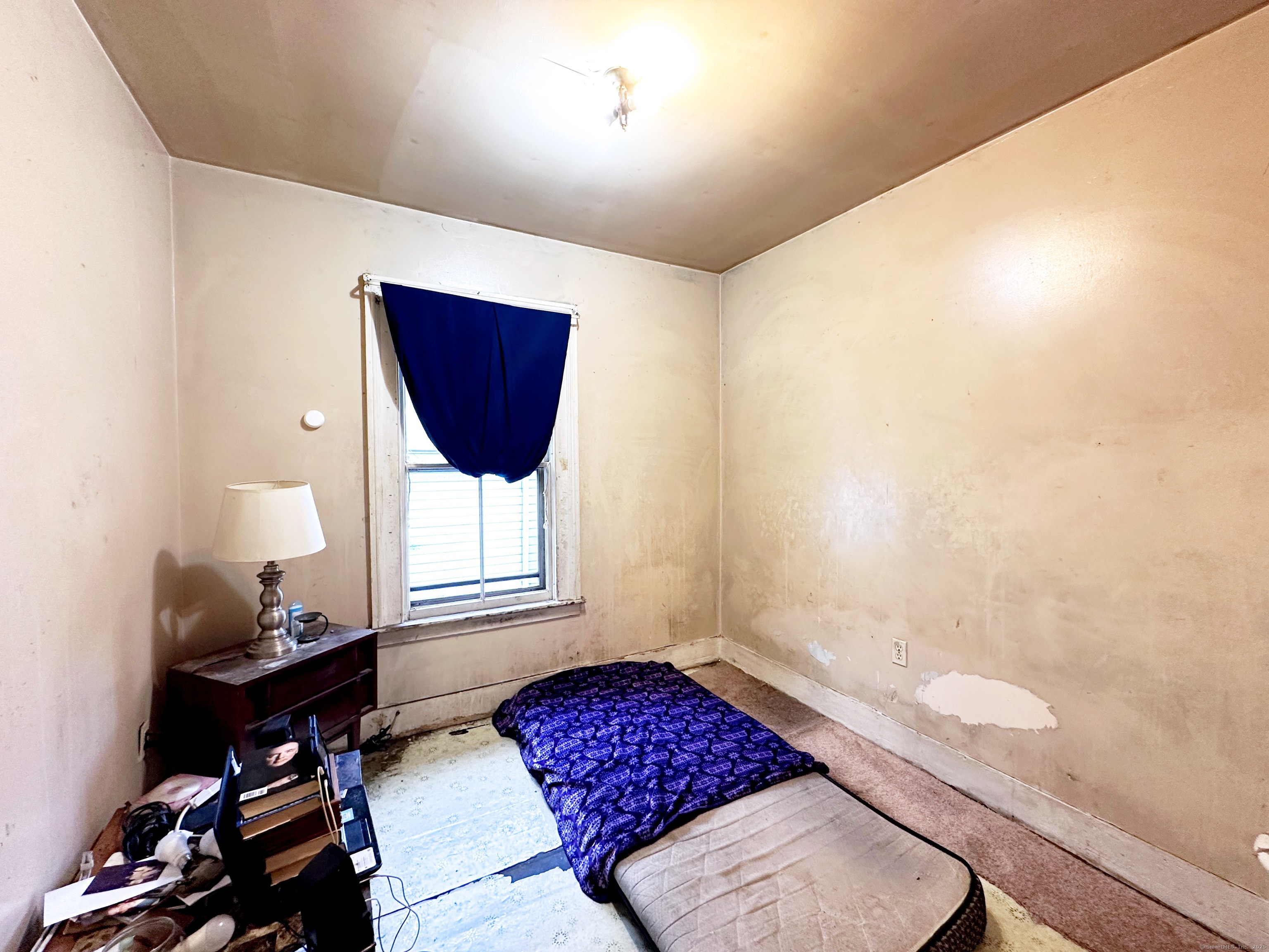 26 Lamberton Street Property Photo 28