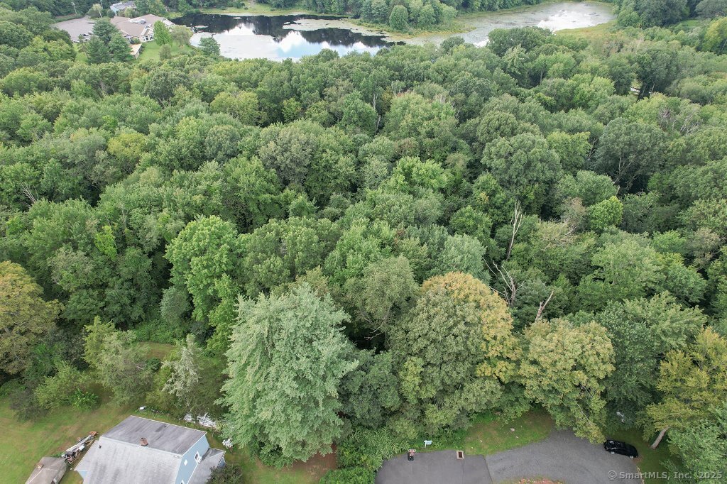 Lot 167 Shelton Avenue