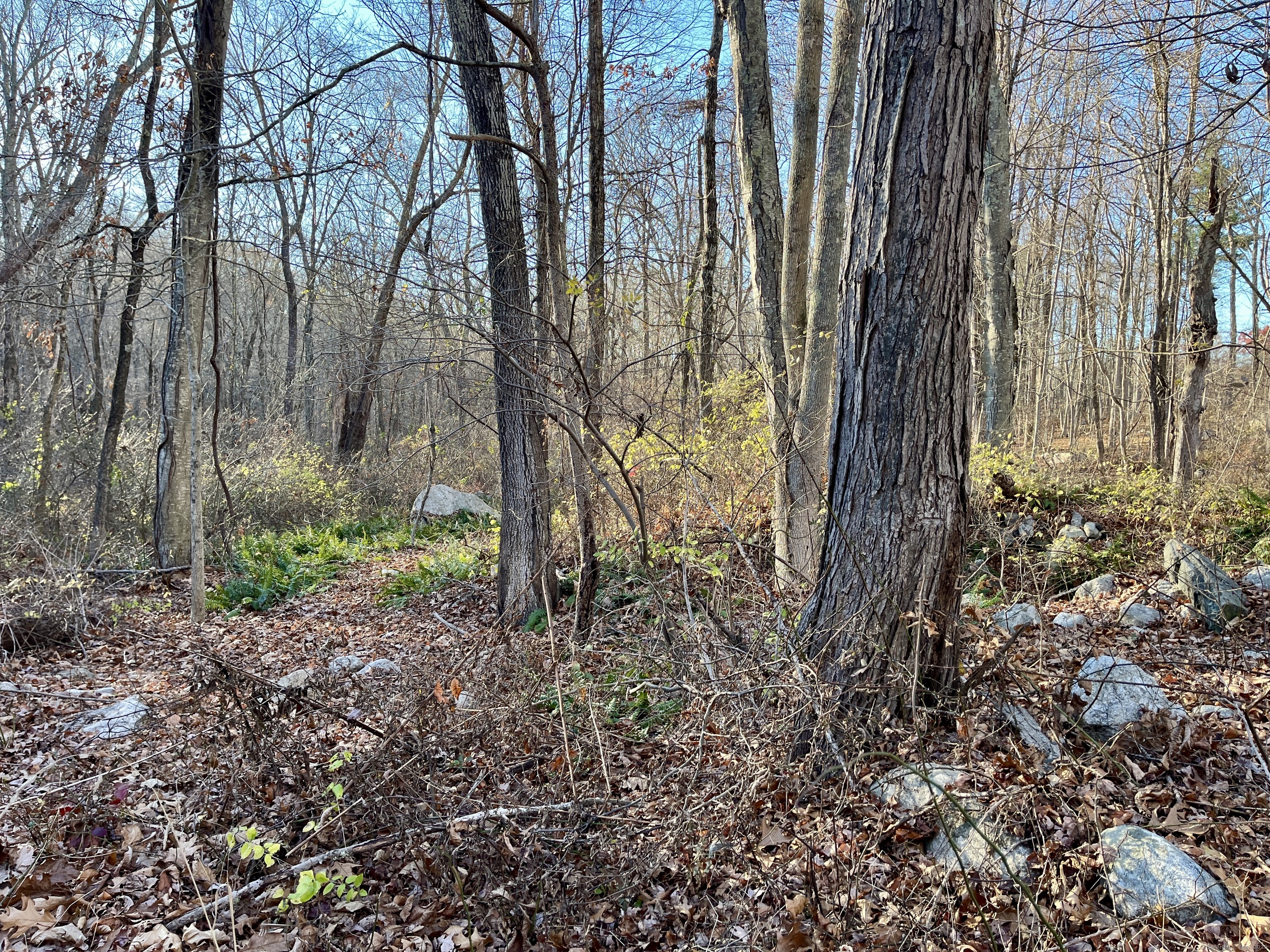 283 Windham Avenue Property Photo 1