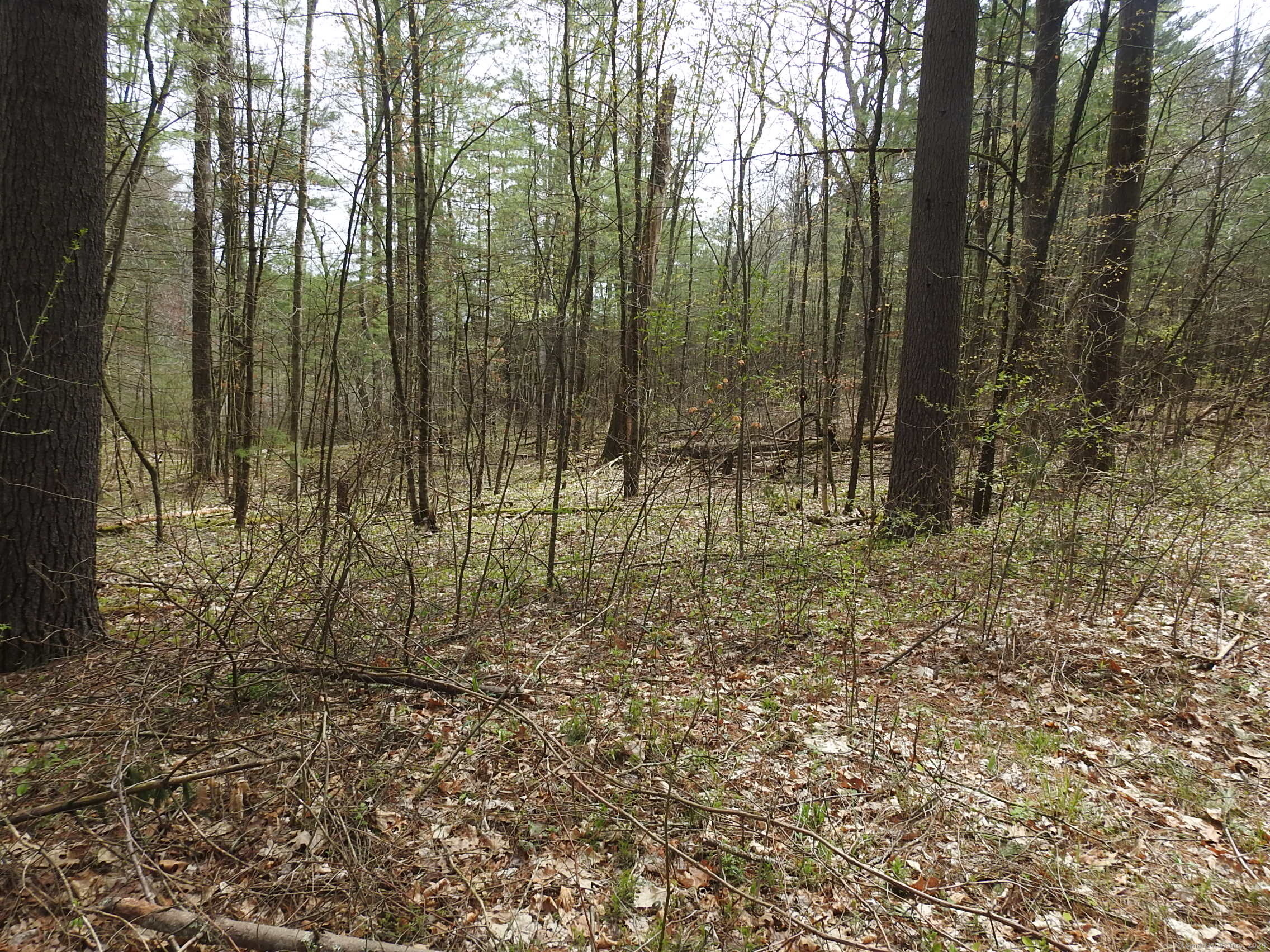 730 Clayton Rd Road Property Photo 2