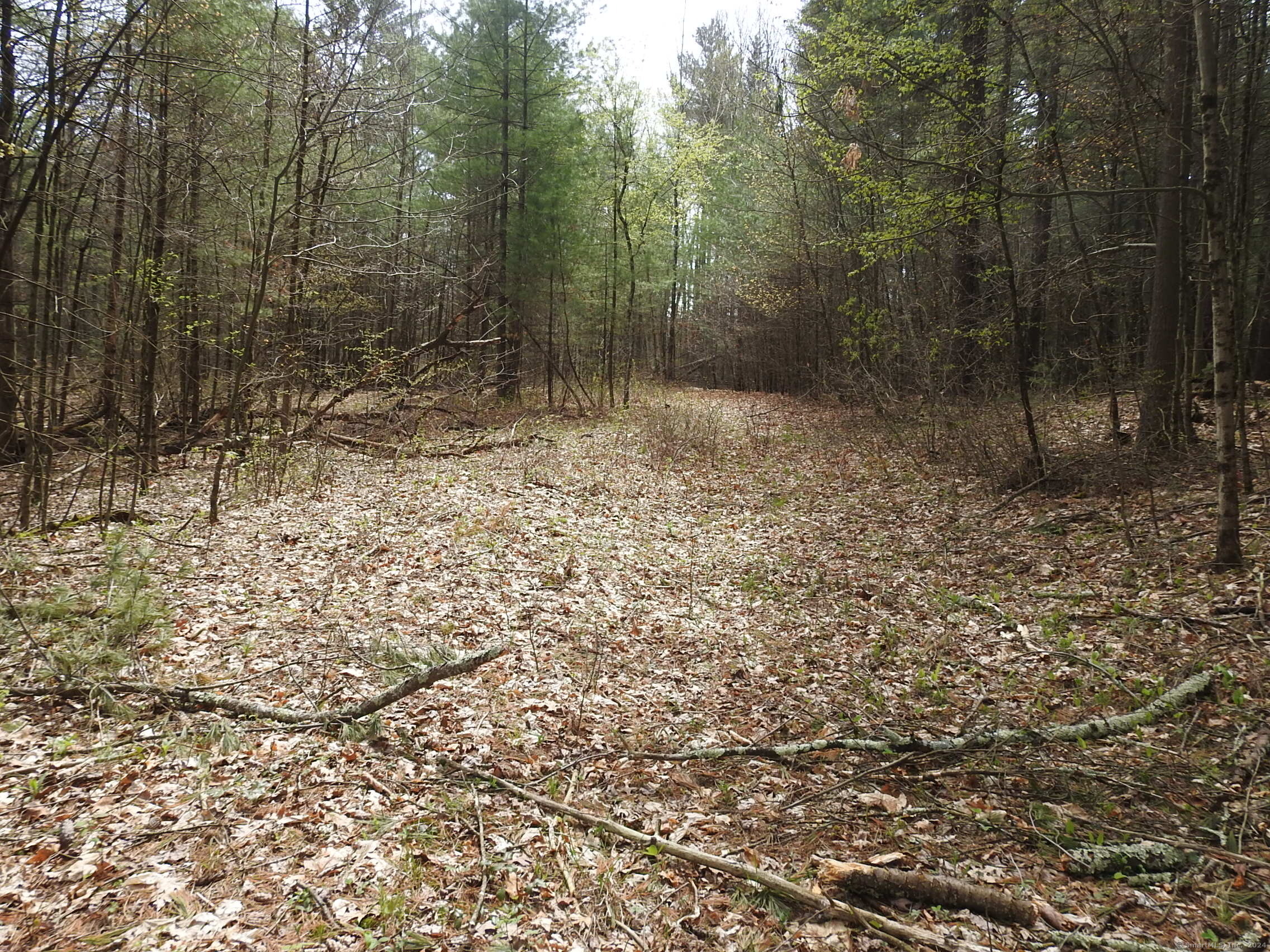 730 Clayton Rd Road Property Photo 3