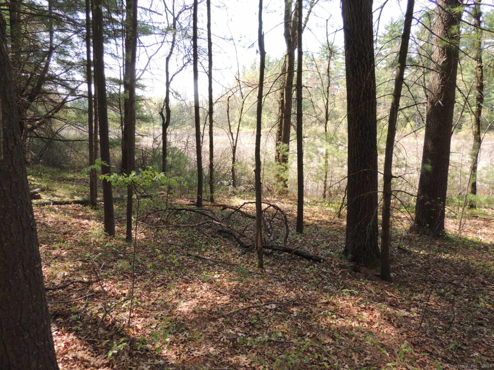 730 Clayton Rd Road Property Photo 4