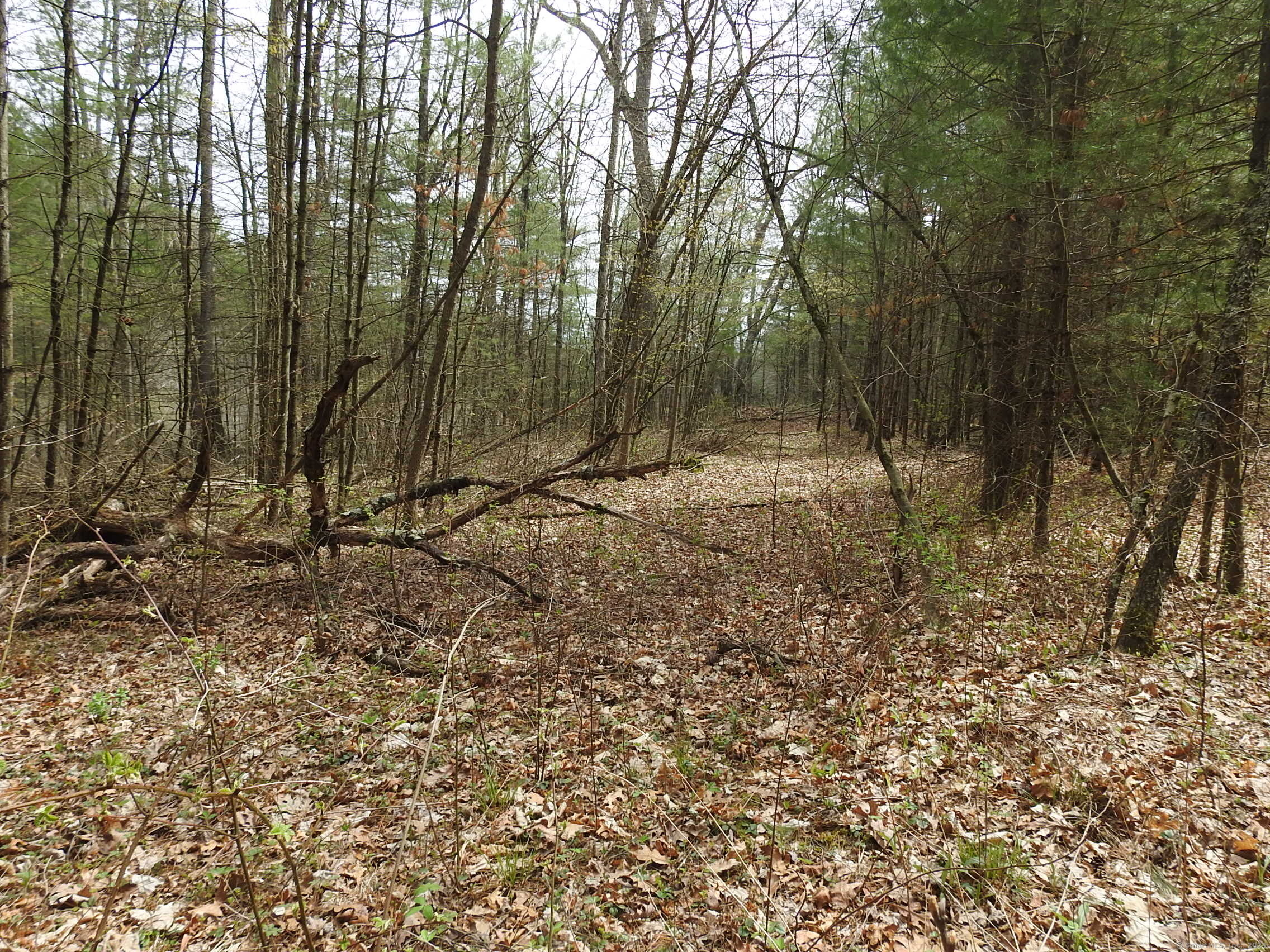 730 Clayton Rd Road Property Photo 5