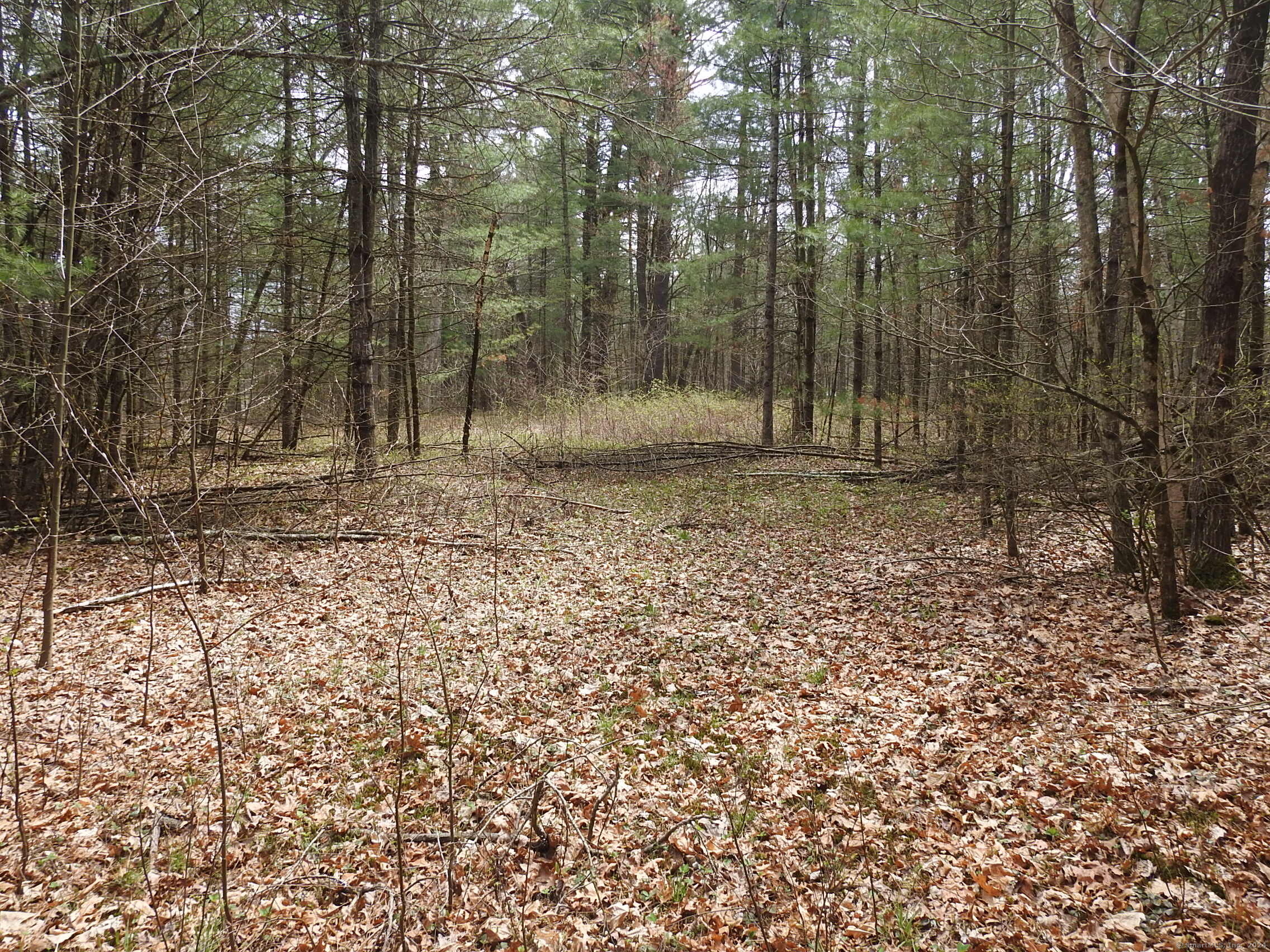 730 Clayton Rd Road Property Photo 7