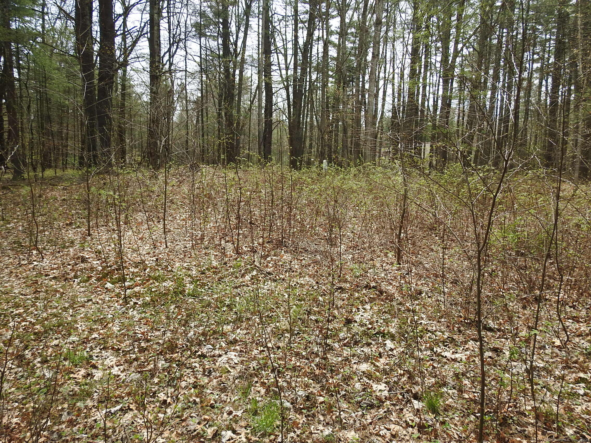 730 Clayton Rd Road Property Photo 8