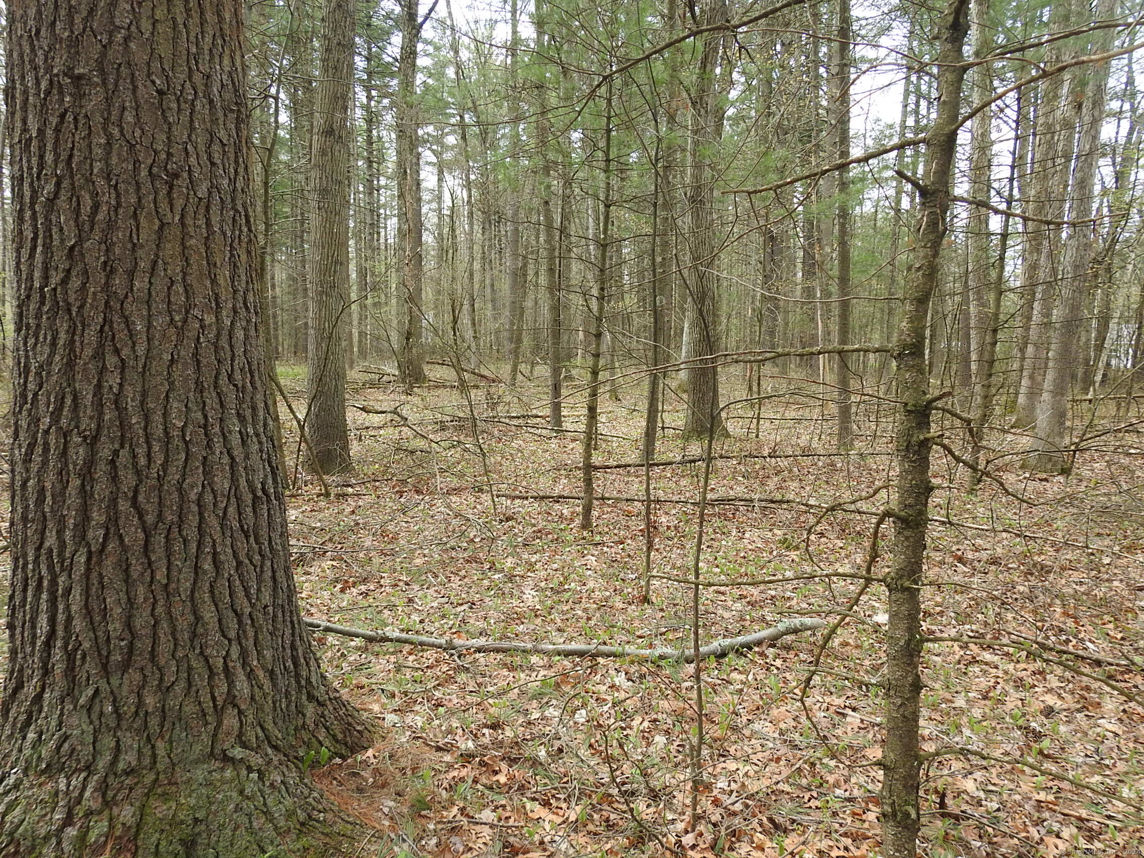 730 Clayton Rd Road Property Photo 9