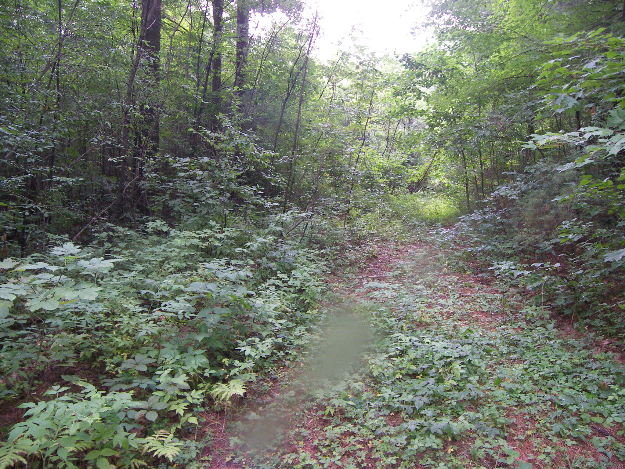 730 Clayton Rd Road Property Photo 10