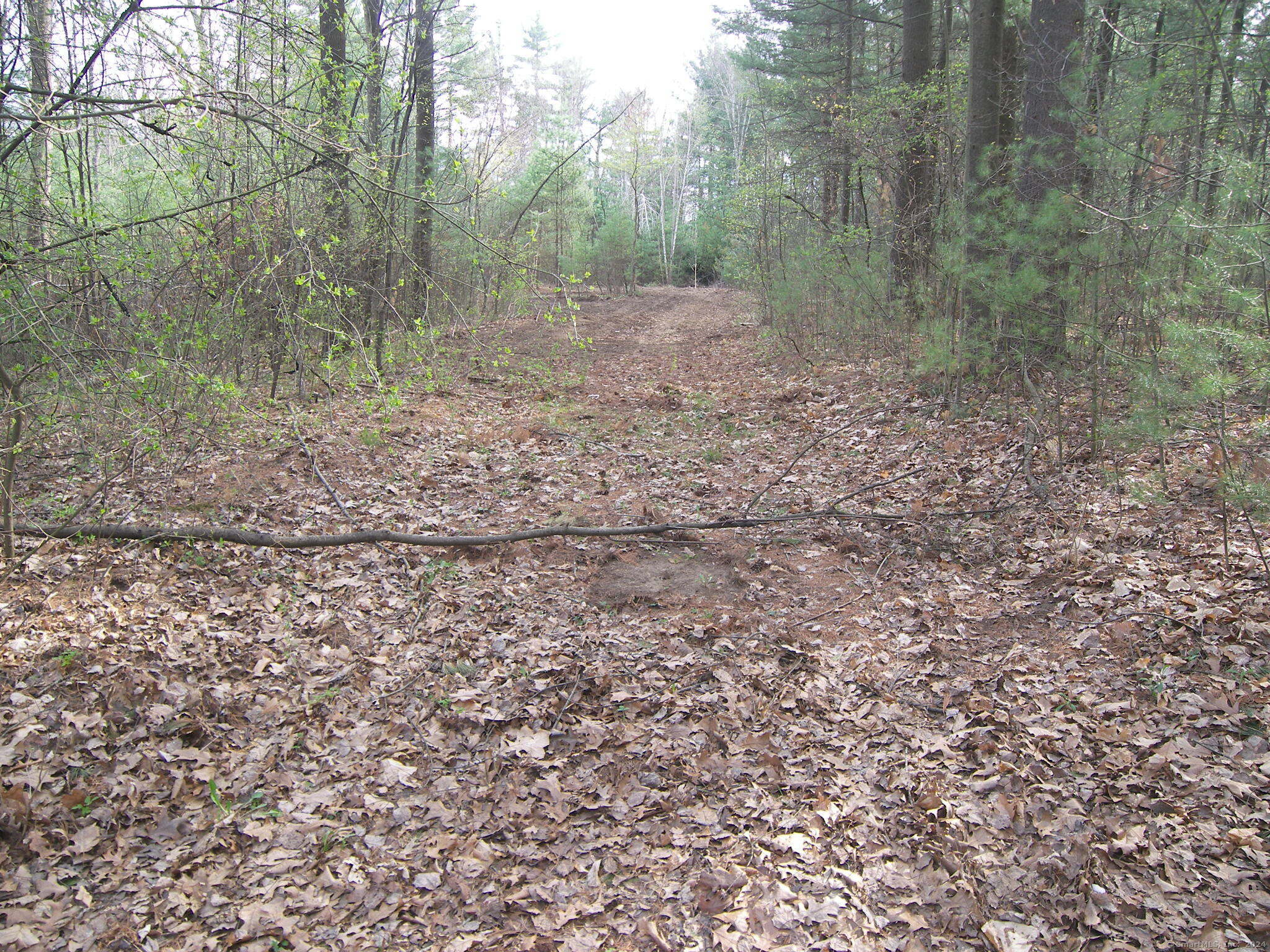 730 Clayton Rd Road Property Photo 11