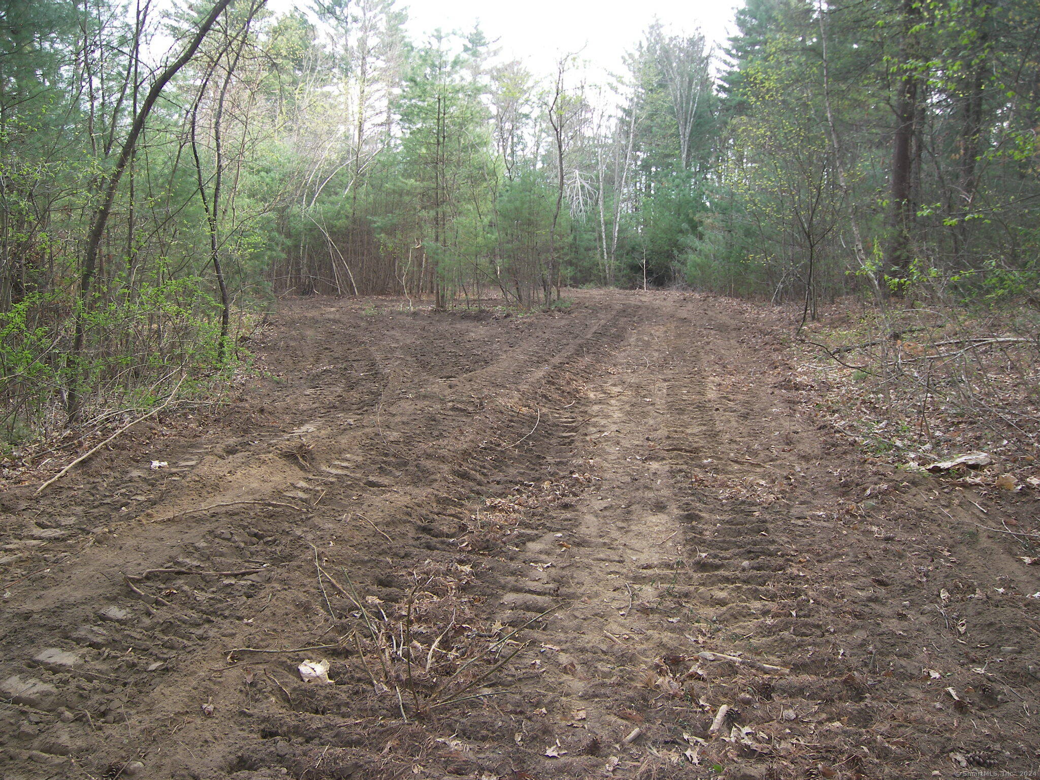 730 Clayton Rd Road Property Photo 12