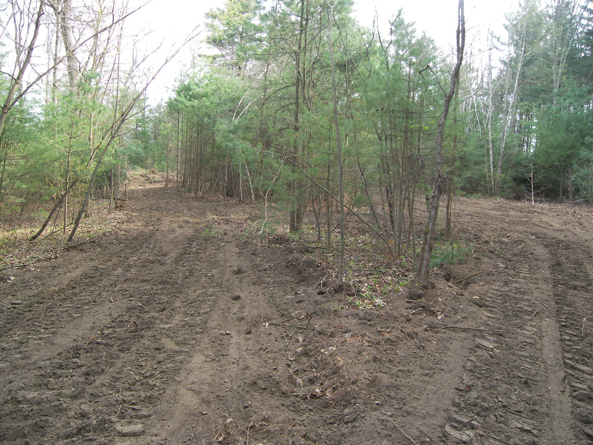 730 Clayton Rd Road Property Photo 14