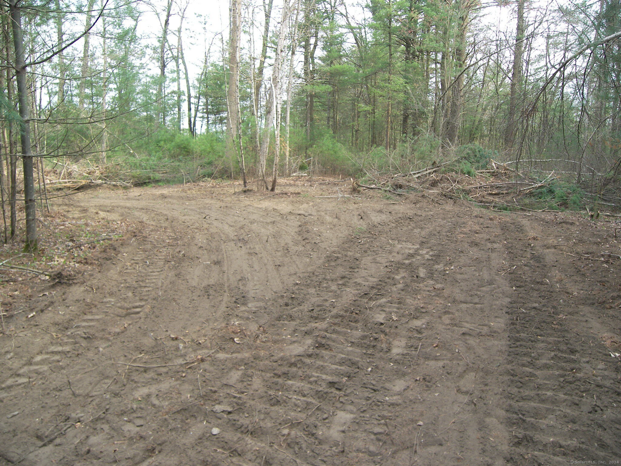 730 Clayton Rd Road Property Photo 15